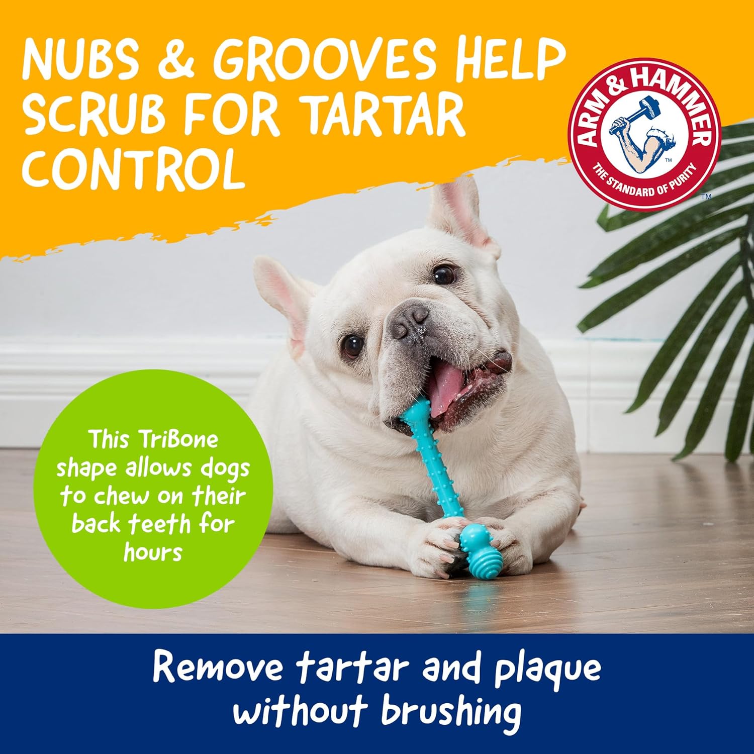 Arm & Hammer Nubbies T-Bone Dental Dog Chew Toy with Peanut Butter Flavor, Textured Chew Toy Designed to Help Clean Teeth and Support Oral Care for Dogs Up to 35 lbs - 24 Pack