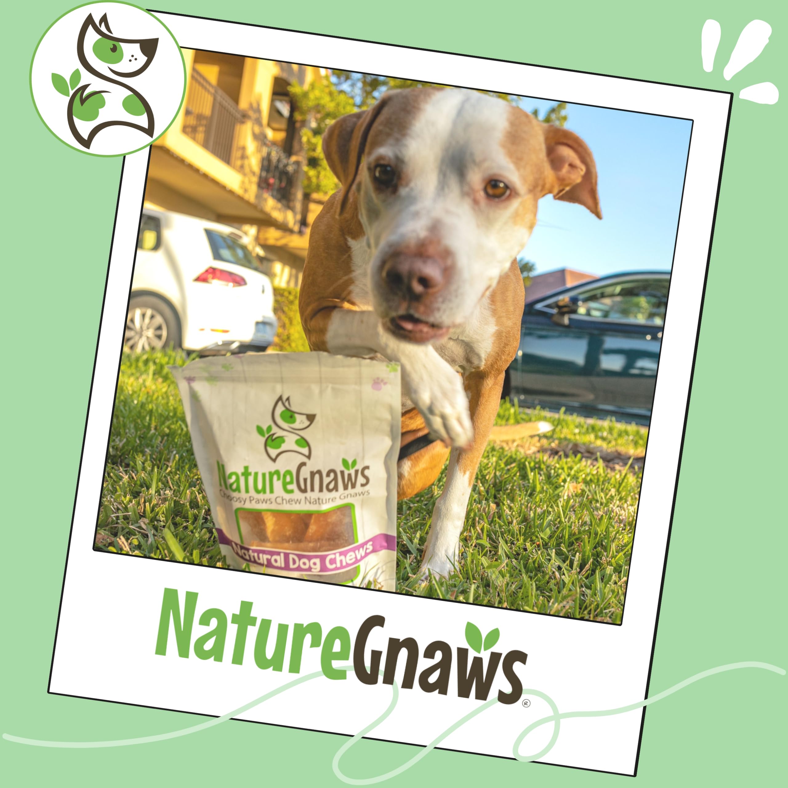 Nature Gnaws Paddywack Sehnen für Hunde – Premium natürliche Rindfleisch-Zahnknochen – Langanhaltende Kau-Leckerlis für mittelgroße und große Hunde – Rohlederfrei