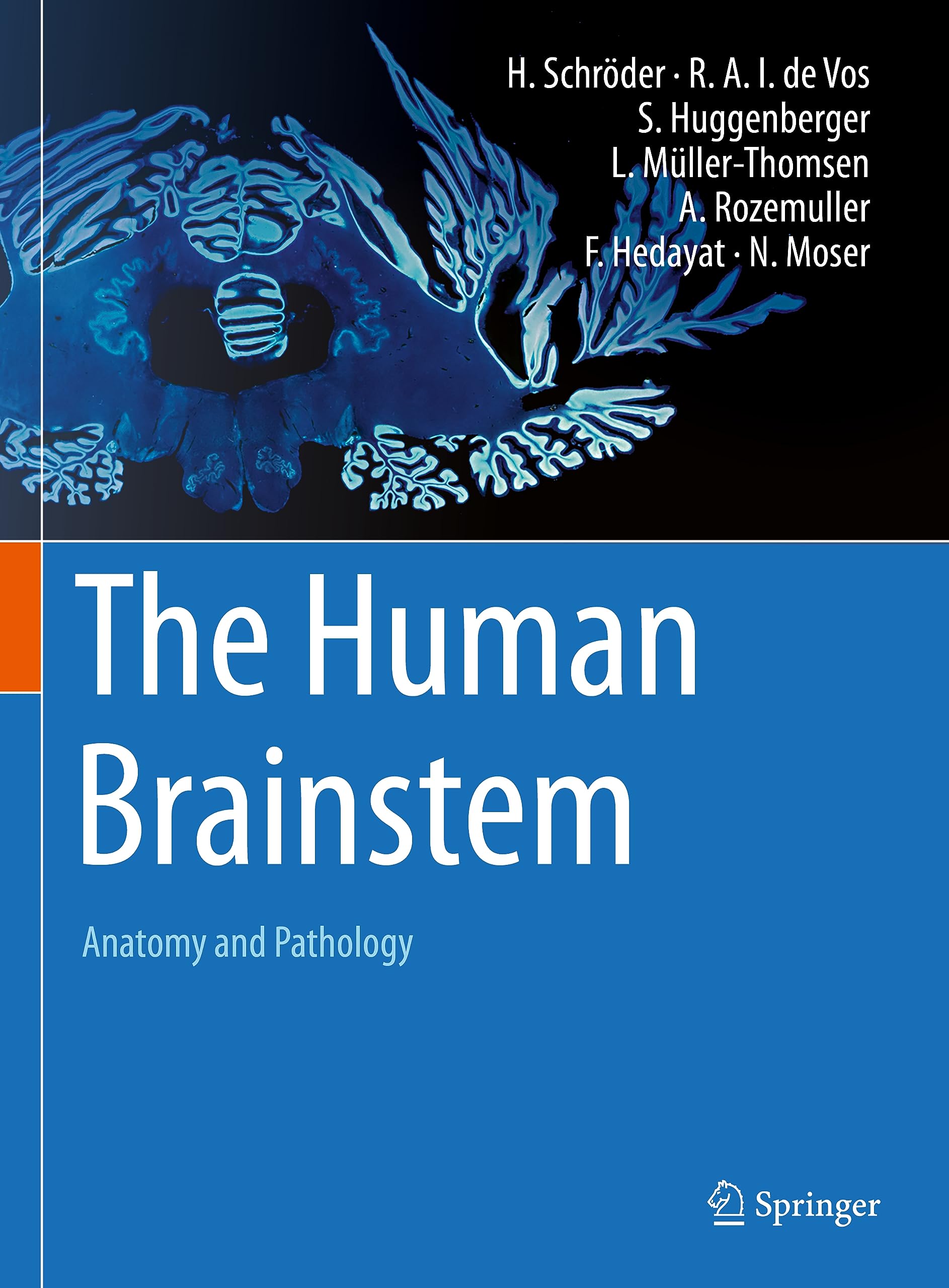The Human Brainstem: Anatomy and Pathology