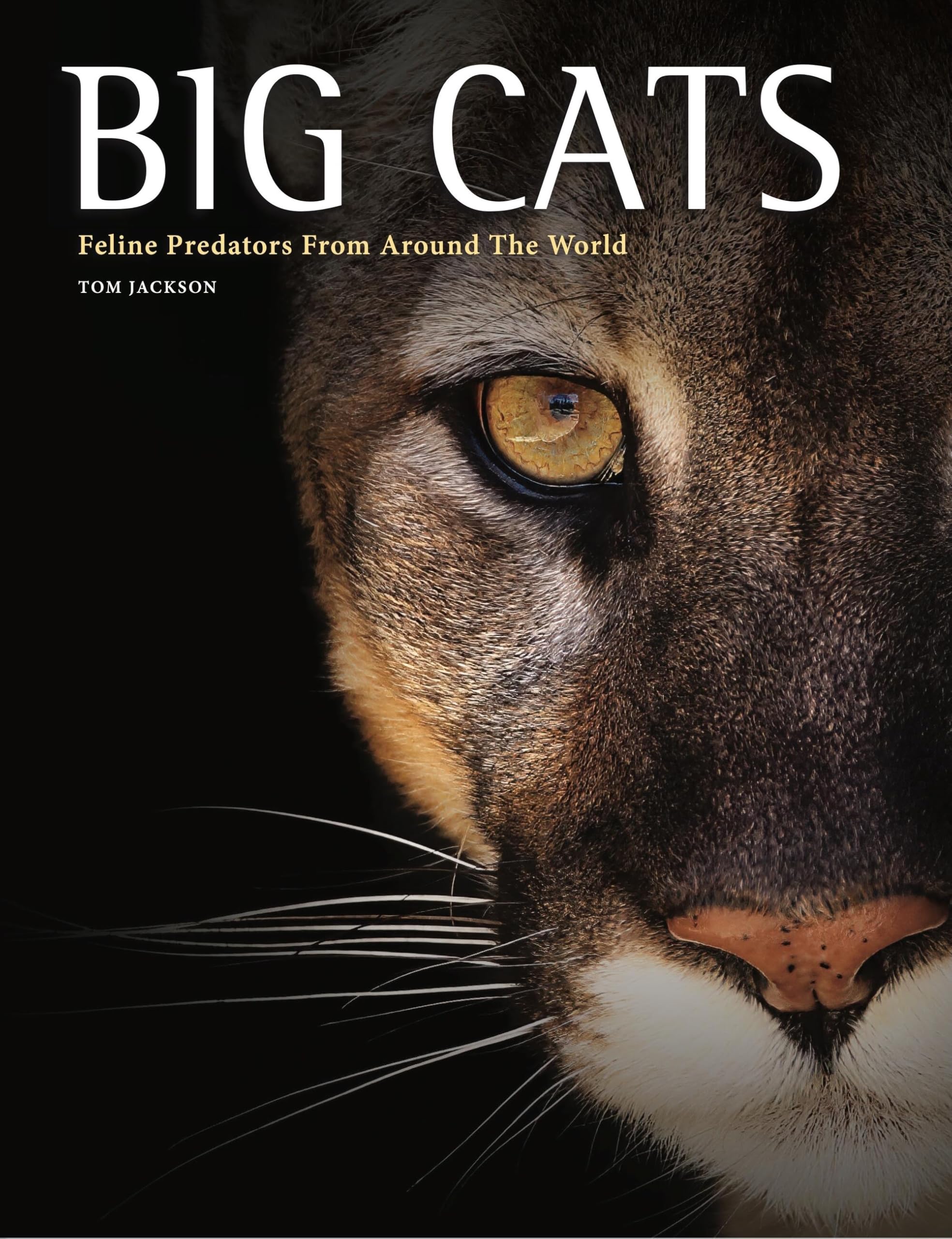 Big Cats: Feline Predators From Around The World (Animals in Photographs)