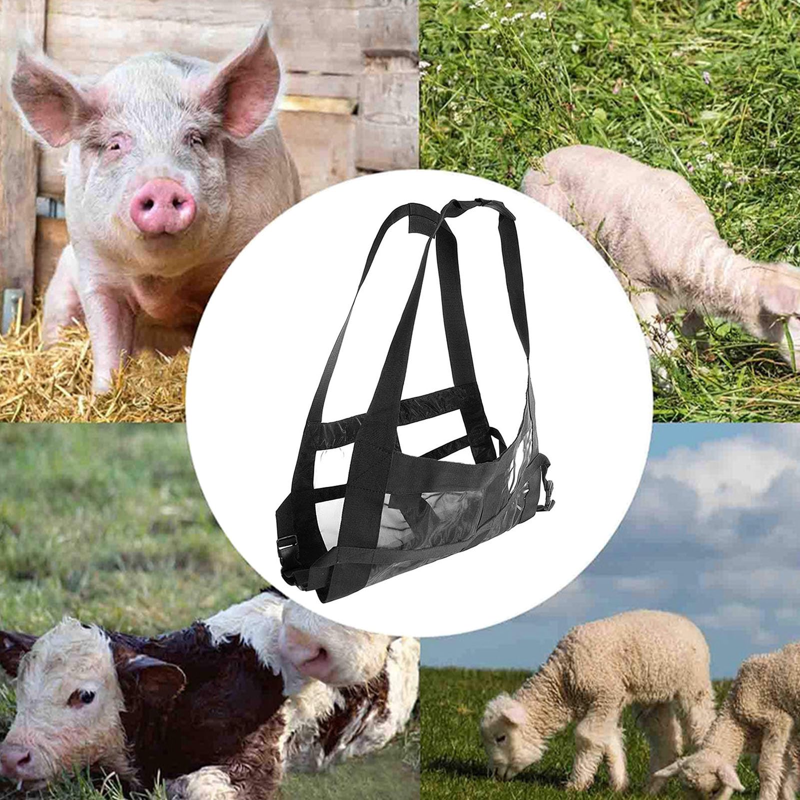 Bande de pesage pour animaux - Balance à suspension réglable, ceinture de pesage | Bandes pour Balance de bétail avec ceinture, harnais pour bétail et chiens (Noir)
