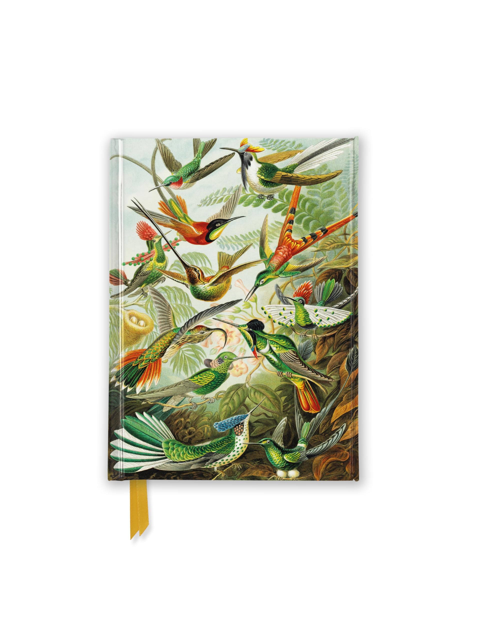 Ernst Haeckel: Hummingbirds (Foiled Pocket Journal) (Notebook / blank book)