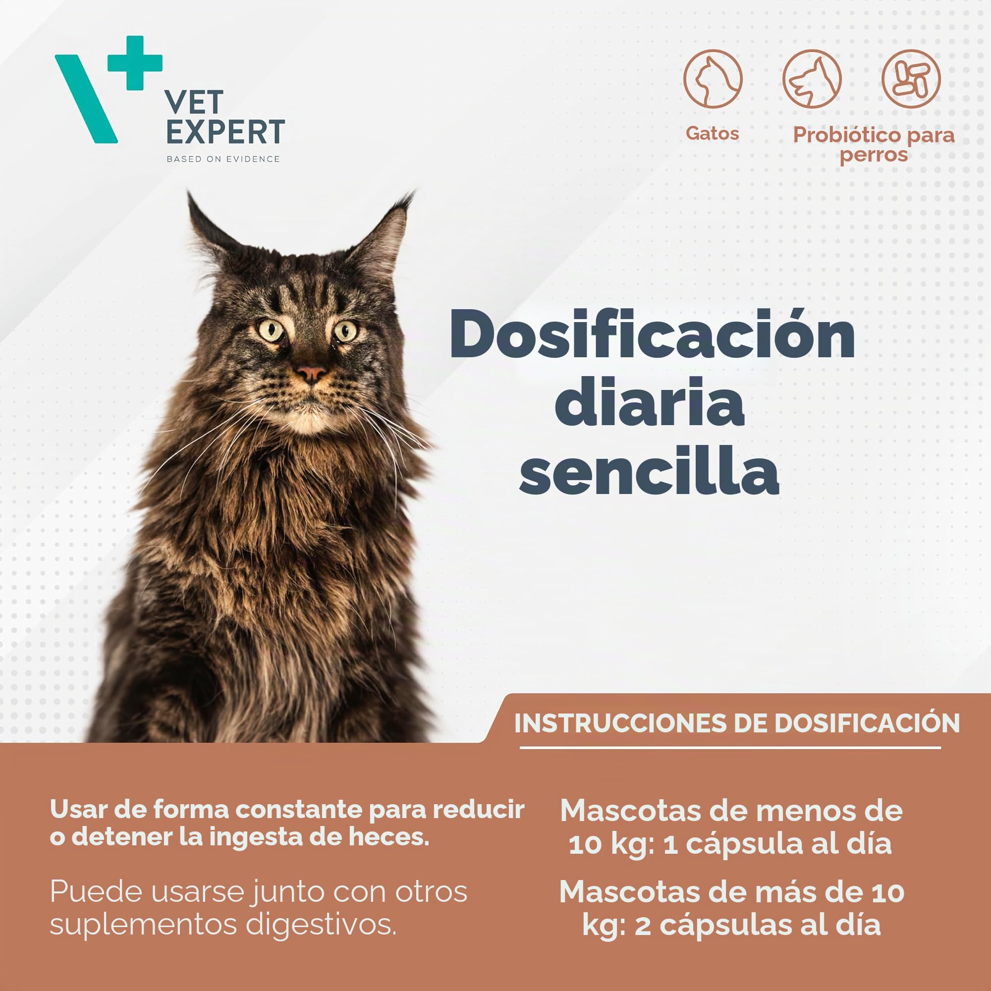 VET EXPERT COPROVET - Antiheces para perros y gatos