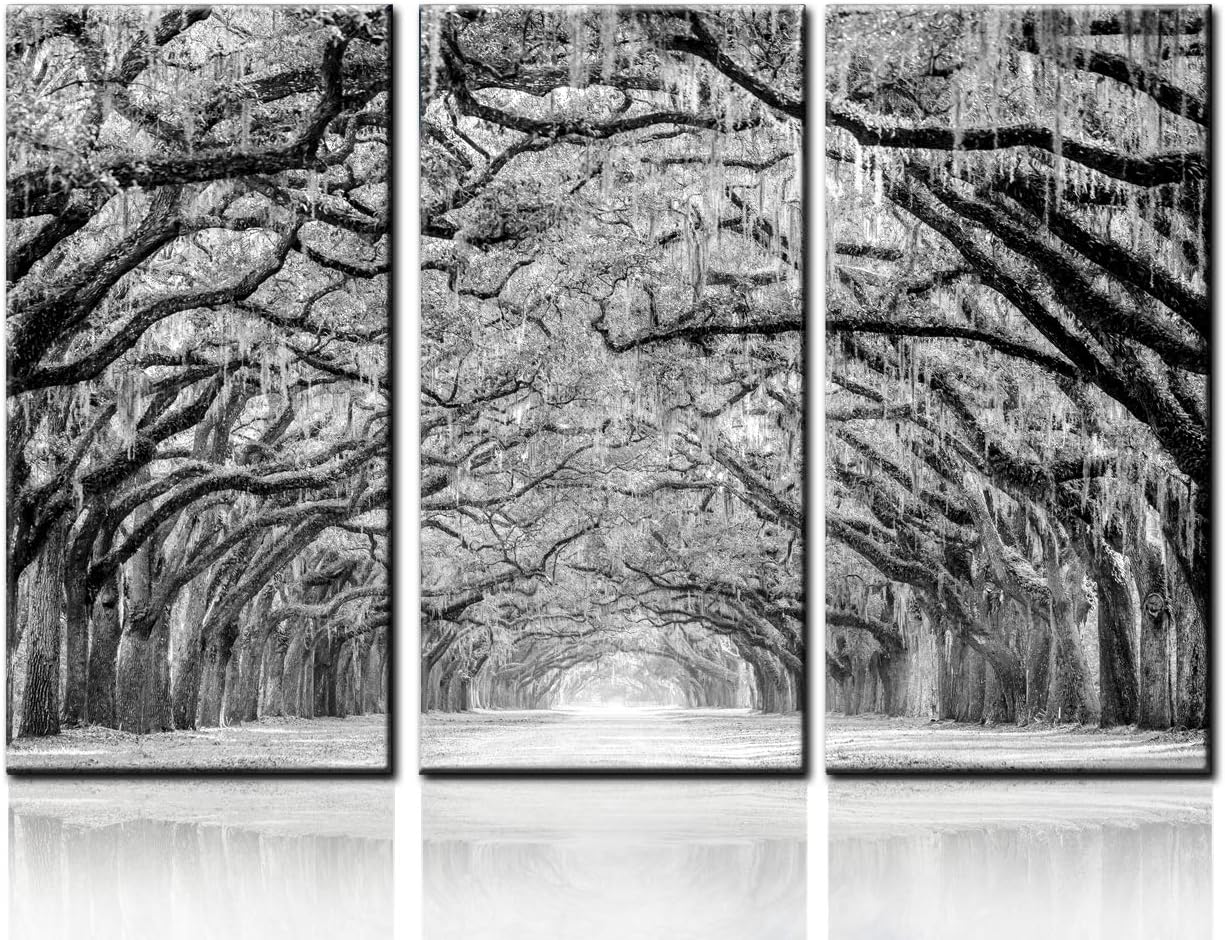 Bеѕt Cуbеr Mоndау 🔥 TUMOVO 3 Panels Black White Tree Canvas Wall Art - Oak Trees are Draped with Spanish Moss Landscape Canvas Pictures for Wall Framed Painting for Bedroom Living Room Office Ready to Hang(28''x42'') 70% оƒƒ Evеrуthіng TUMOVO 3 Panels Black White Tree Canvas Wall Art - Oak Trees are Draped with Spanish Moss Landscape Canvas Pictures for Wall Framed Painting for Bedroom Living Room Office Ready to Hang(28''x42'')