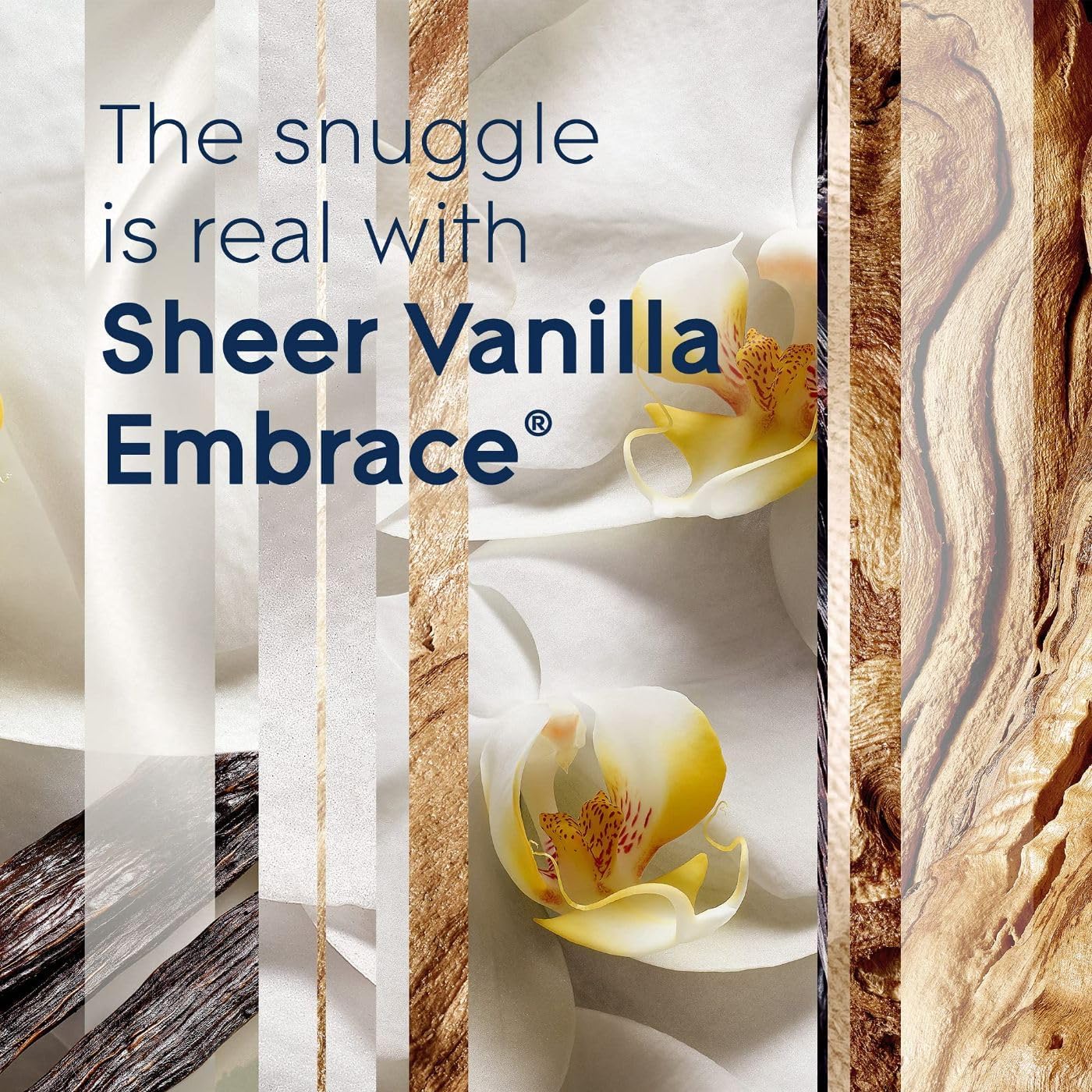 Glade Sheer Vanilla Embrace 3-Wick Fragrance Candle, Essential Oil Infused, Air Freshener, 6.8 Oz, 3 Count