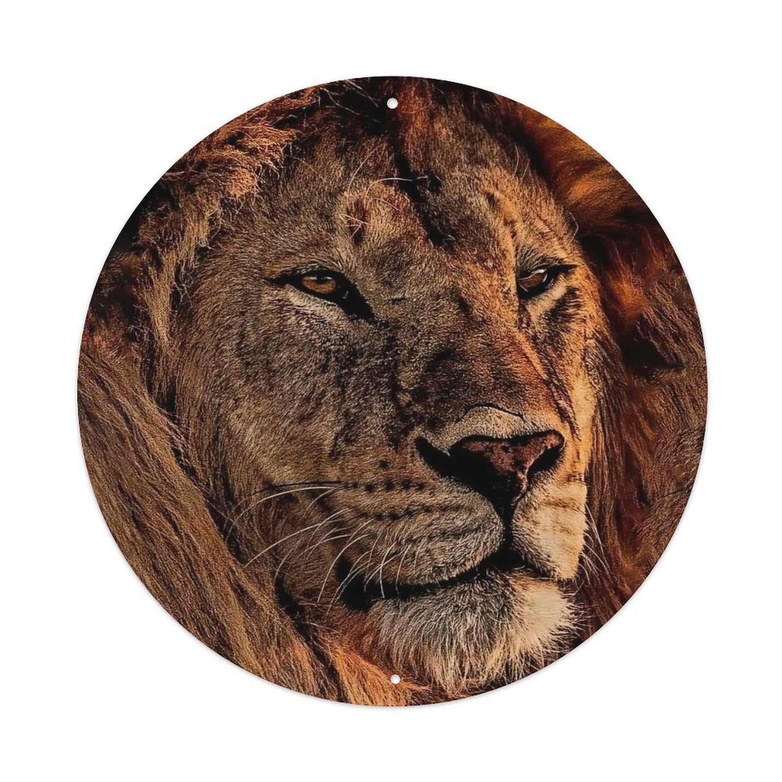 Cwbufd Men's Vintage Style Animal African Lion Lion Closeup Wild Wildlife Portrait Vintage Metal Tin Sign Plaque Wall Decor For Cafe, Club Bar, Office, Garden Metal Poster 8X8inch