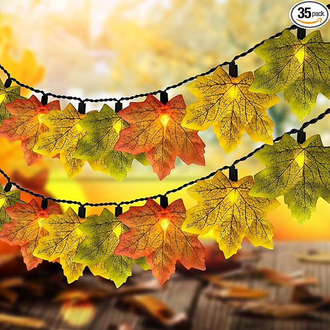 Orange, yellow, and green maple tree lights
