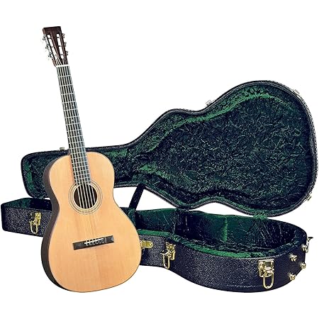 parlour guitar hard case