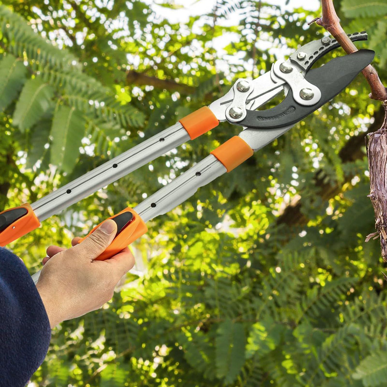 Nożyce ogrodowe Wytrzymałe nożyce teleskopowe z długą rączką | Sekatory, Nożyczki, Narzędzia Ogrodnicze do ogrodu, na patio, trawnik, ścieżki, do przycinania drzew, krzewów, kwiatów,
