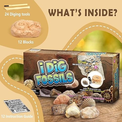 Miniatura 3 de Byncceh Kit de excavación de fósiles, juguetes educativos de ciencia STEM para niños a partir de 6 años, desenterrar 12 fósiles reales y rocas de