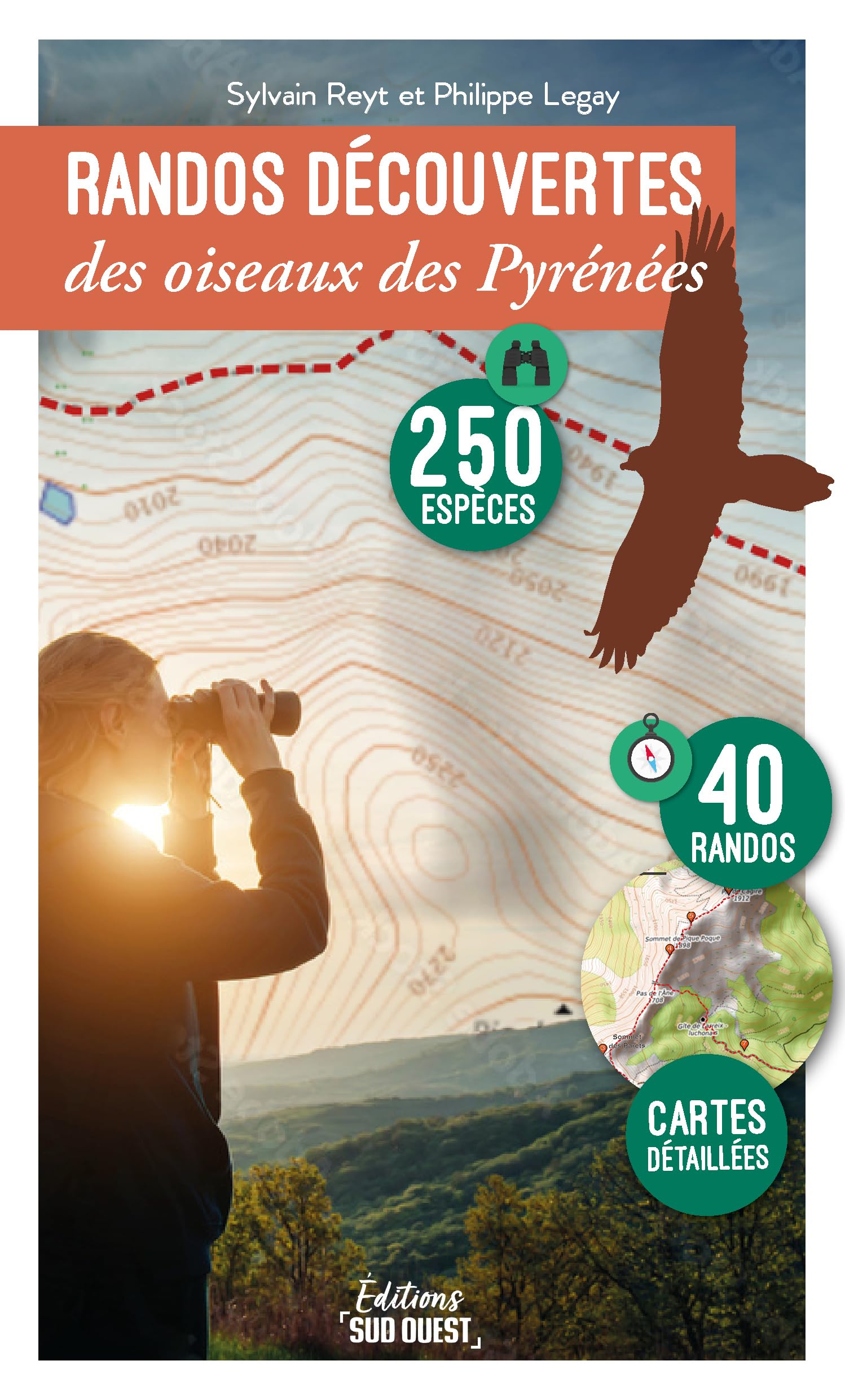 Randos découvertes des oiseaux des Pyrénées: 250 espèces, 41 itinéraires