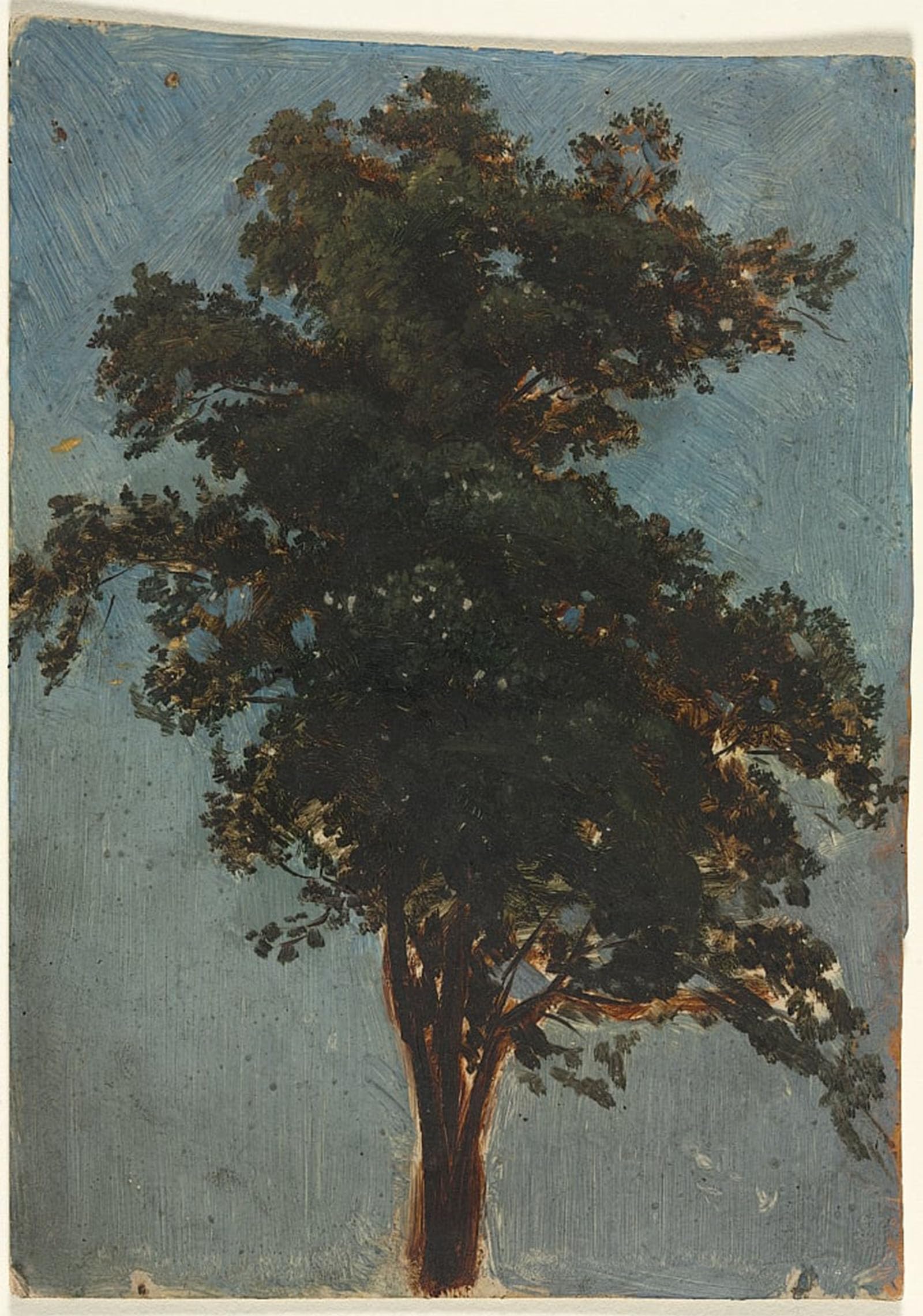 ARTXLXXBN Famous Print Painting Colorful Art Print Tree Study Second Third S by Alexandre Calame Canvas Art Decorations for Home Decor 60x90cm