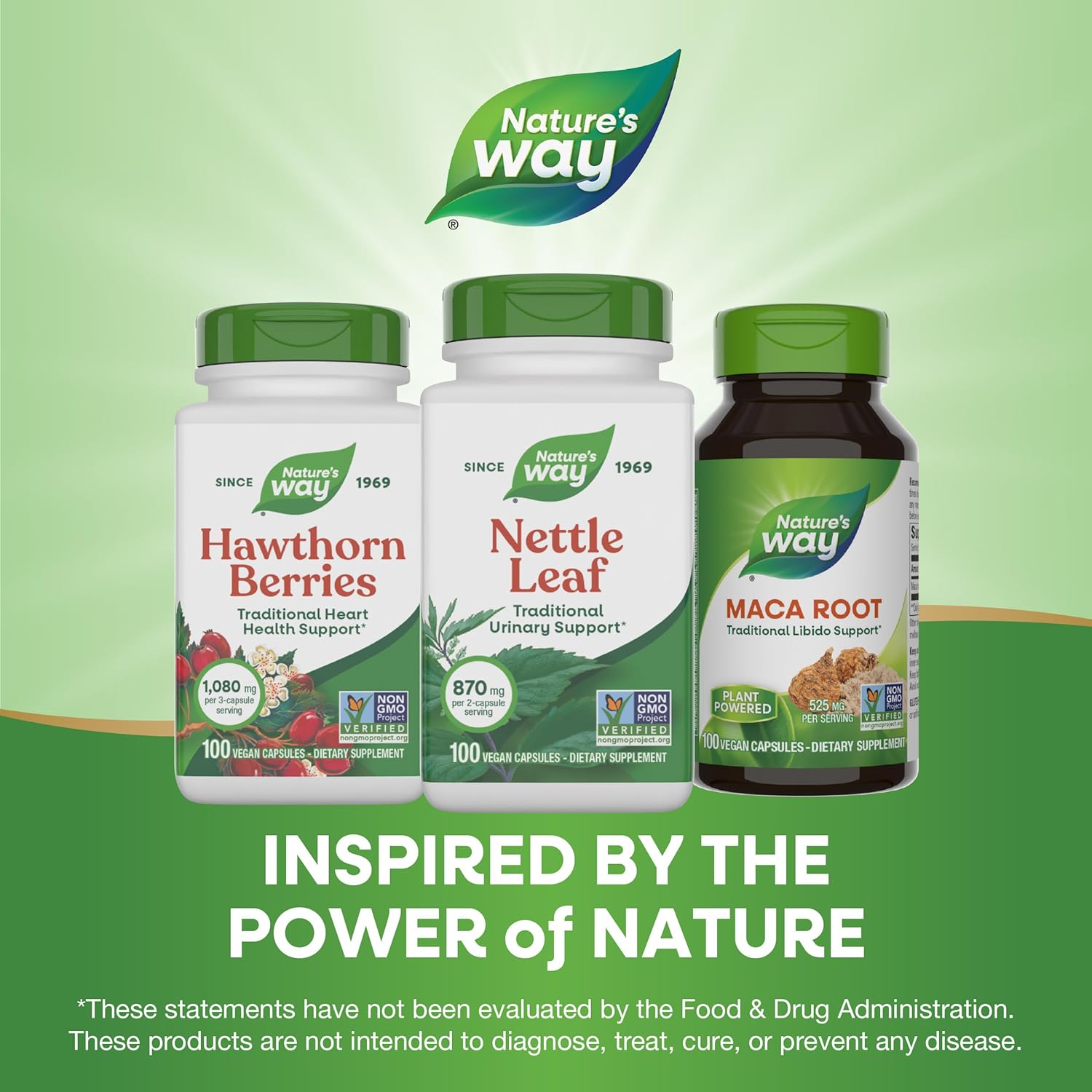 Nature's Way Nettle Leaf, Traditional Urinary Support*, 870 mg per 2-Capsule Serving, Non-GMO Project Verified, Vegan, 100 Capsules - Image 7