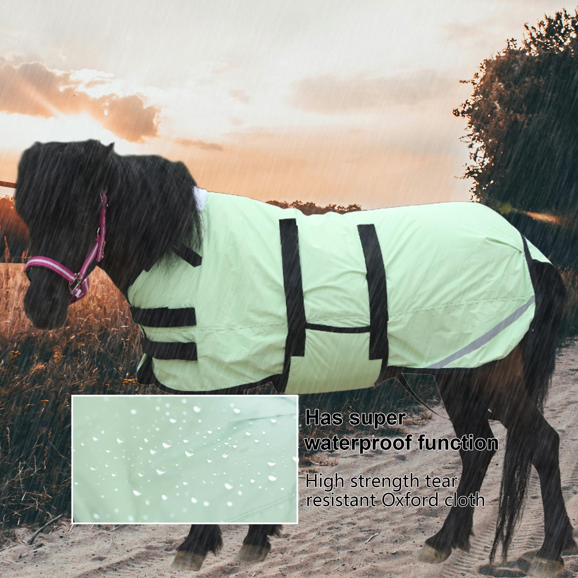 Leberna Coperta invernale per puledro e mini cavallo, 300D, traspirante, in miniatura, con fascia per la pancia (imbottitura da 150 g) (verde erba, L (90 - 100 cm)