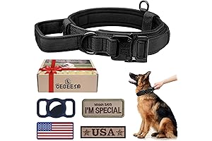 Summit Hound Dog Collar: Unparalleled Protection for Adventurous Canines