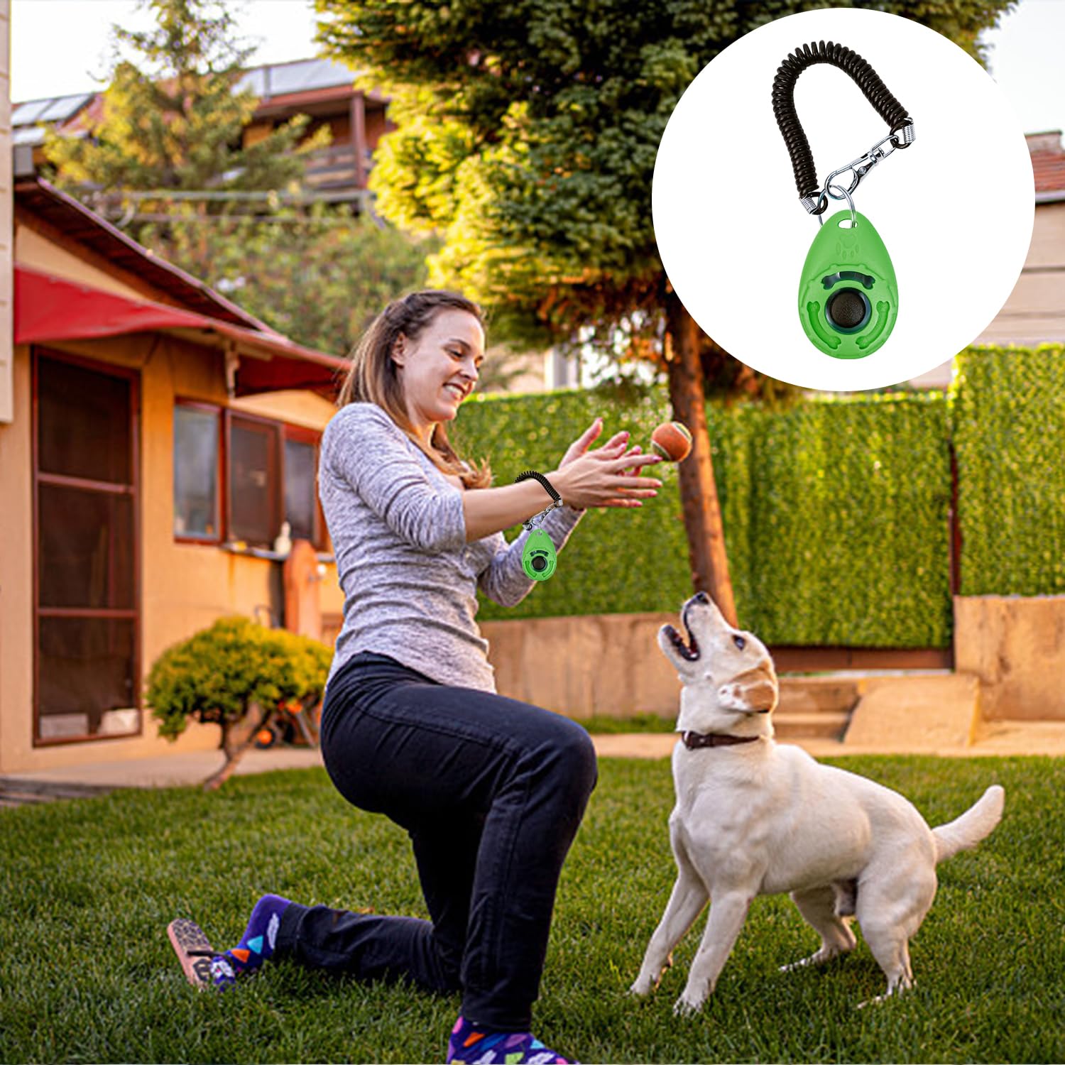 6 Allenatore per Animali Domestici, Strumenti per Gli Aiuti per Addestramento per Cani, Clicker di Addestramento per Cani, Forniture per Animali Domestici (Multicolori).