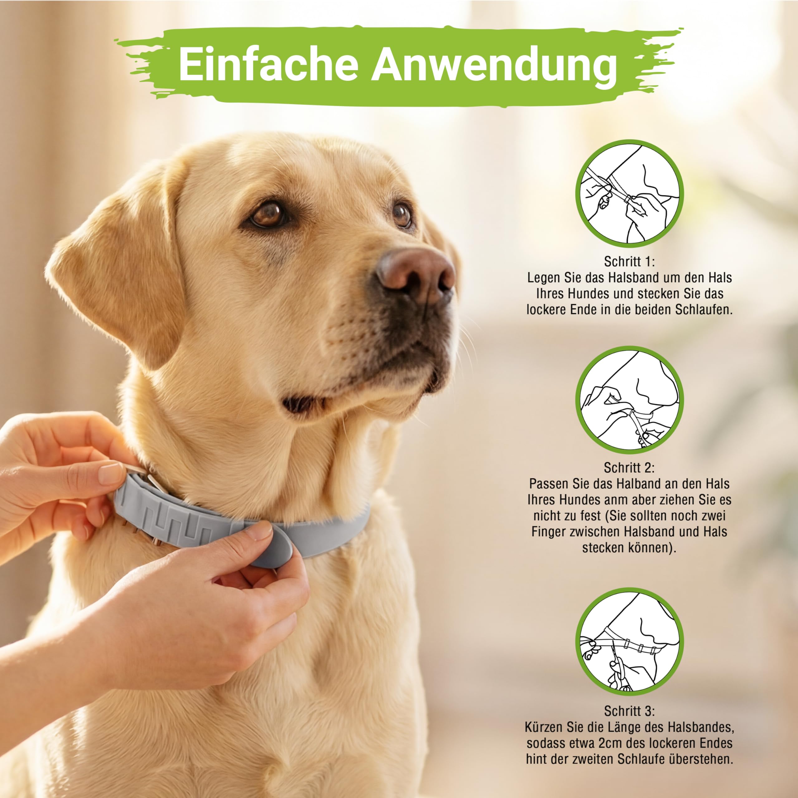 MC-Royal®Pro Zeckenhalsband für Hunde - 100% natürliche Inhaltsstoffe - bis zu 8 Monate zuverlässiger Zeckenschutz