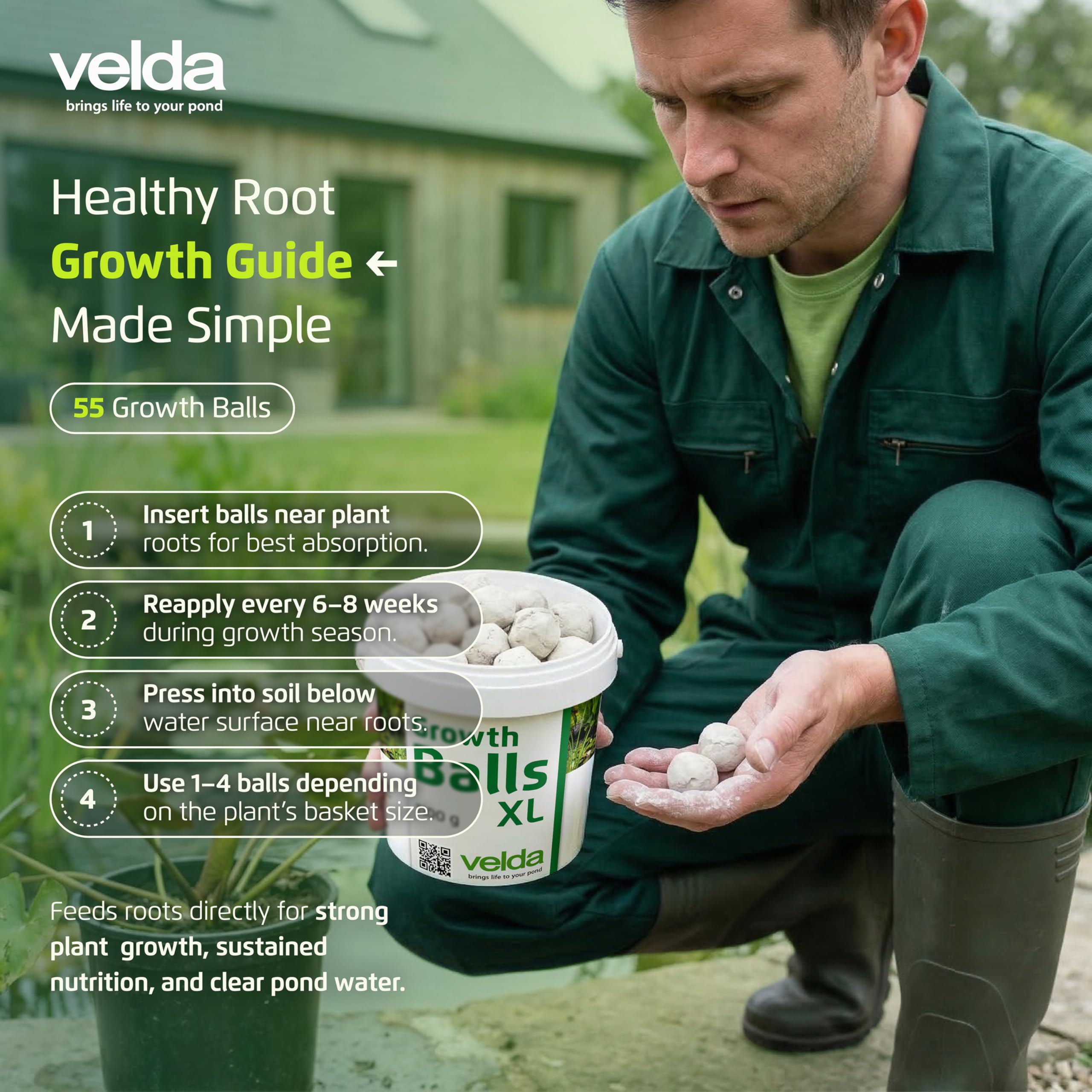 Velda 122256 Super Super abono de crecimiento para las plantas acuáticas, 55 bolas pelotas XL