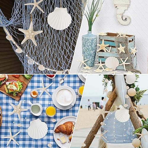 Miniatura 7 de Conchas de mar grandes de 4 a 5 pulgadas, conchas marinas a granel para manualidades y decoración, decoración de boda para fiesta en la playa,