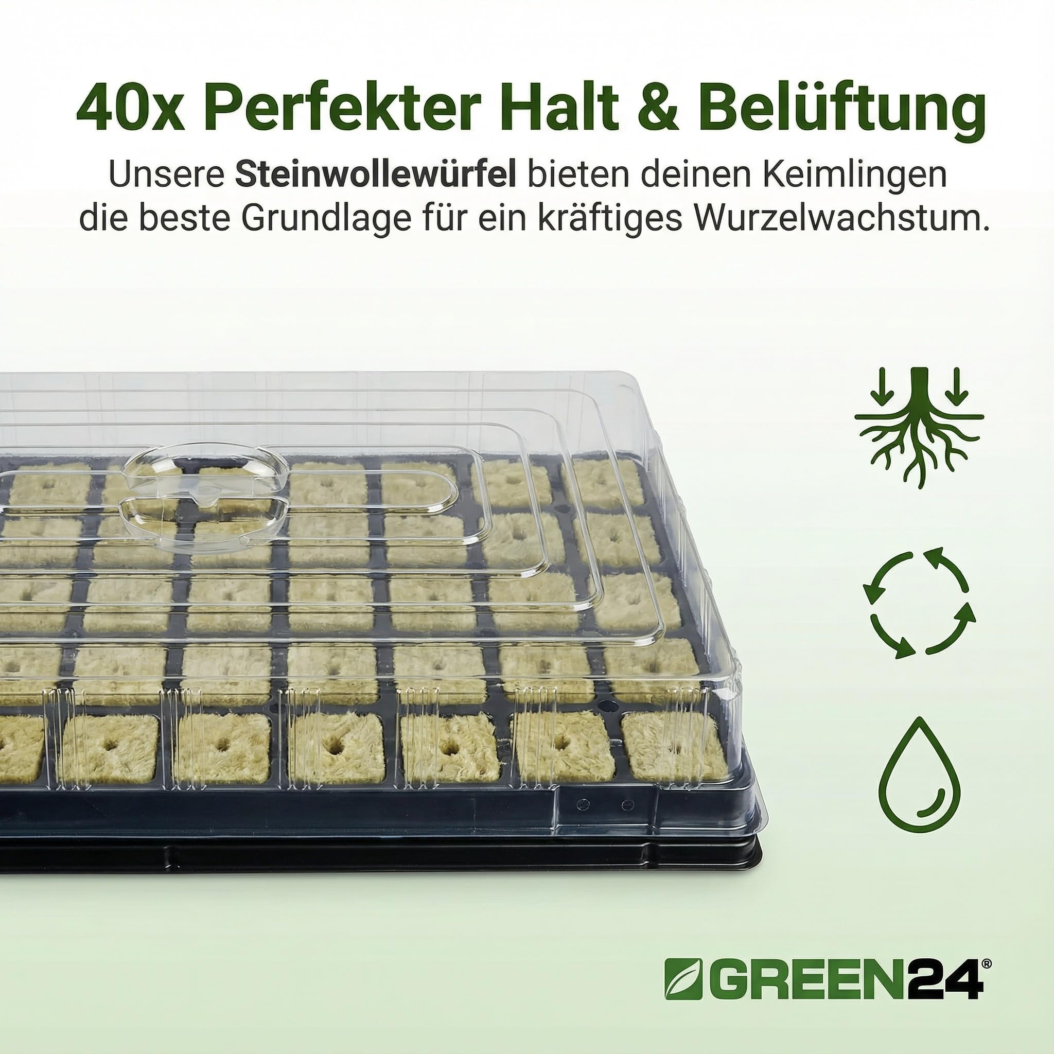 GREEN24 Anzuchthaus STW-40 inkl. 40 Steinwollewürfel 40x40x40mm - Anzuchthaus Steinwolle für Pflanzenanzucht und Hydroponik - Für Samen, Saatgut und Stecklinge