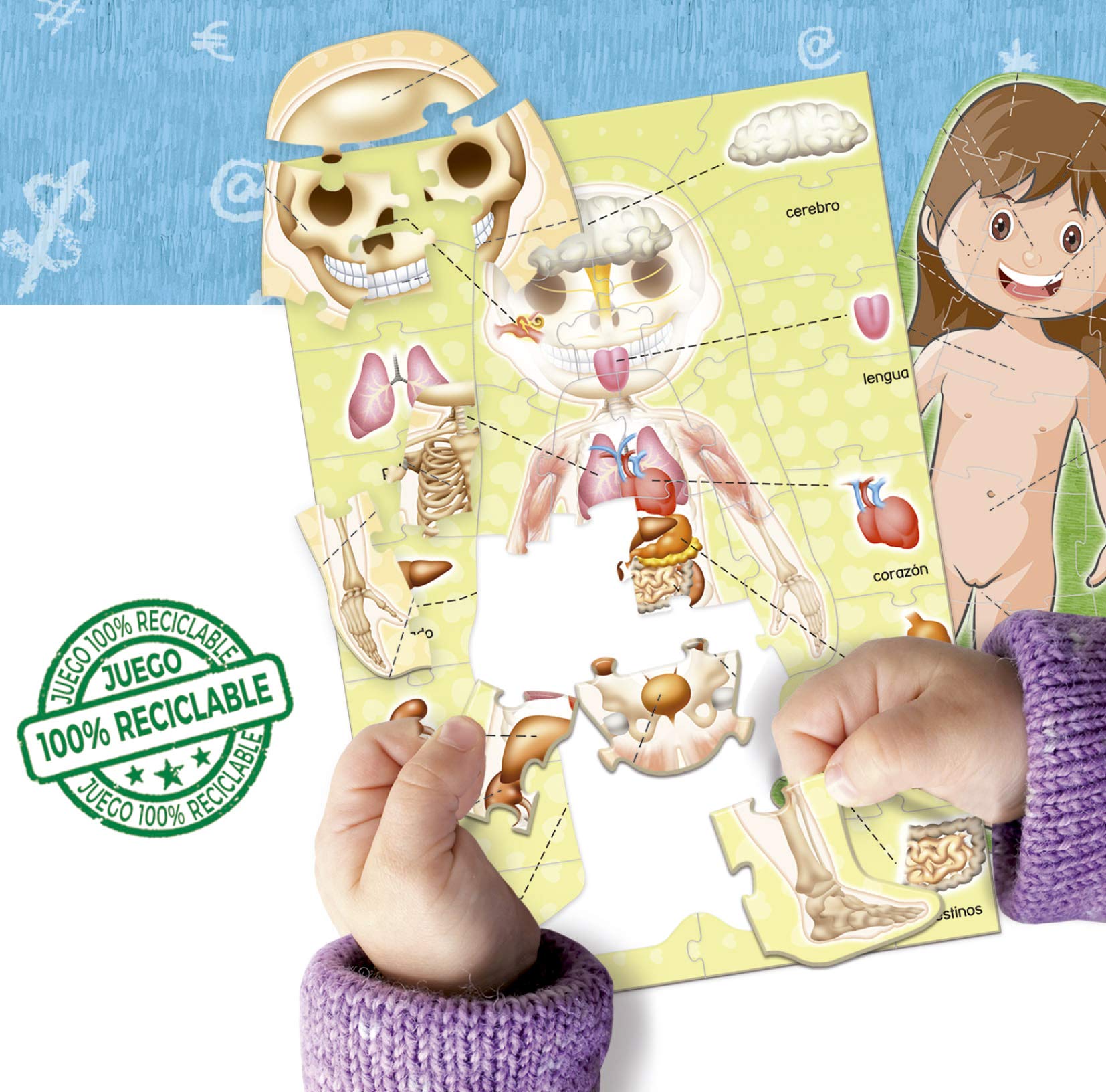 Educa - I learn the Human Body | Learning is Fun | Educational toy children 4 5 years old | They will learn the different parts of the body with a silhouette of boy or girl (18701) — view 2