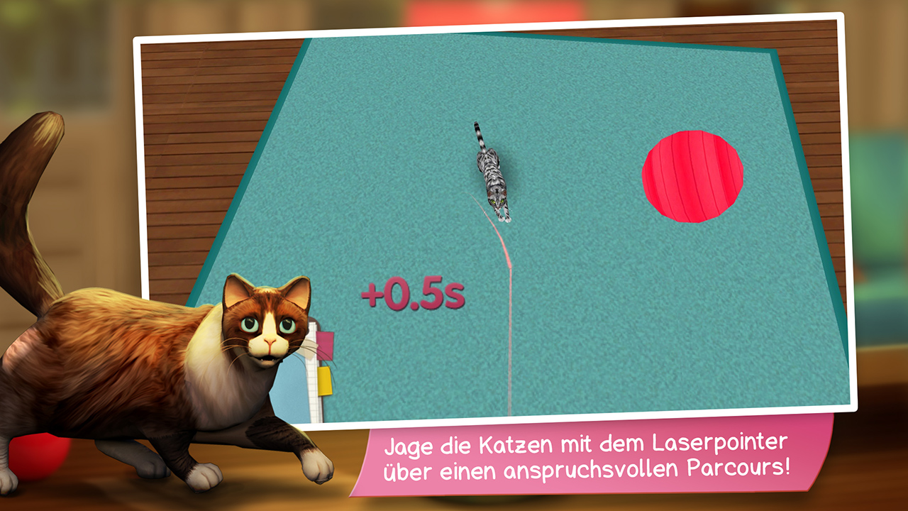 CatHotel - Spiele, schmuse und pflege niedliche Katzen und Kater
