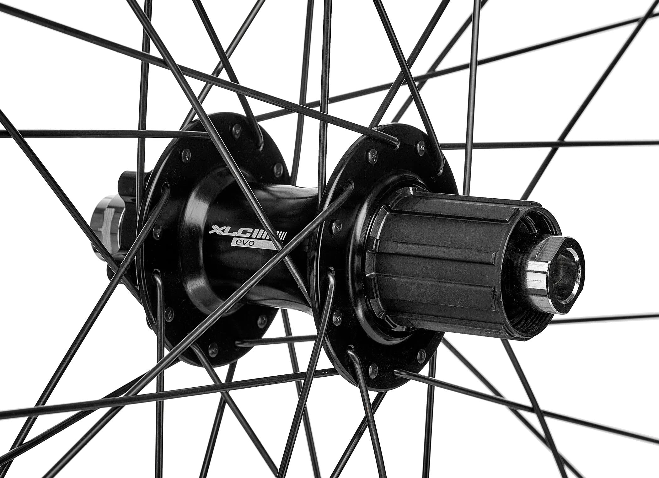 XLC 29? Hinterrad Rodi Black Rock Disc Evo 6-Loch 8-10-fach