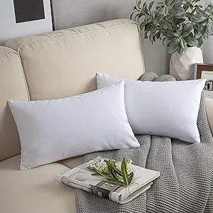 Phantoscope Pack of 2 Velvet Decorative Throw Decorative Pillow Cover Soft Solid Square Cushion Case for Couch White 12 x 20 inches 30 x 50 cm