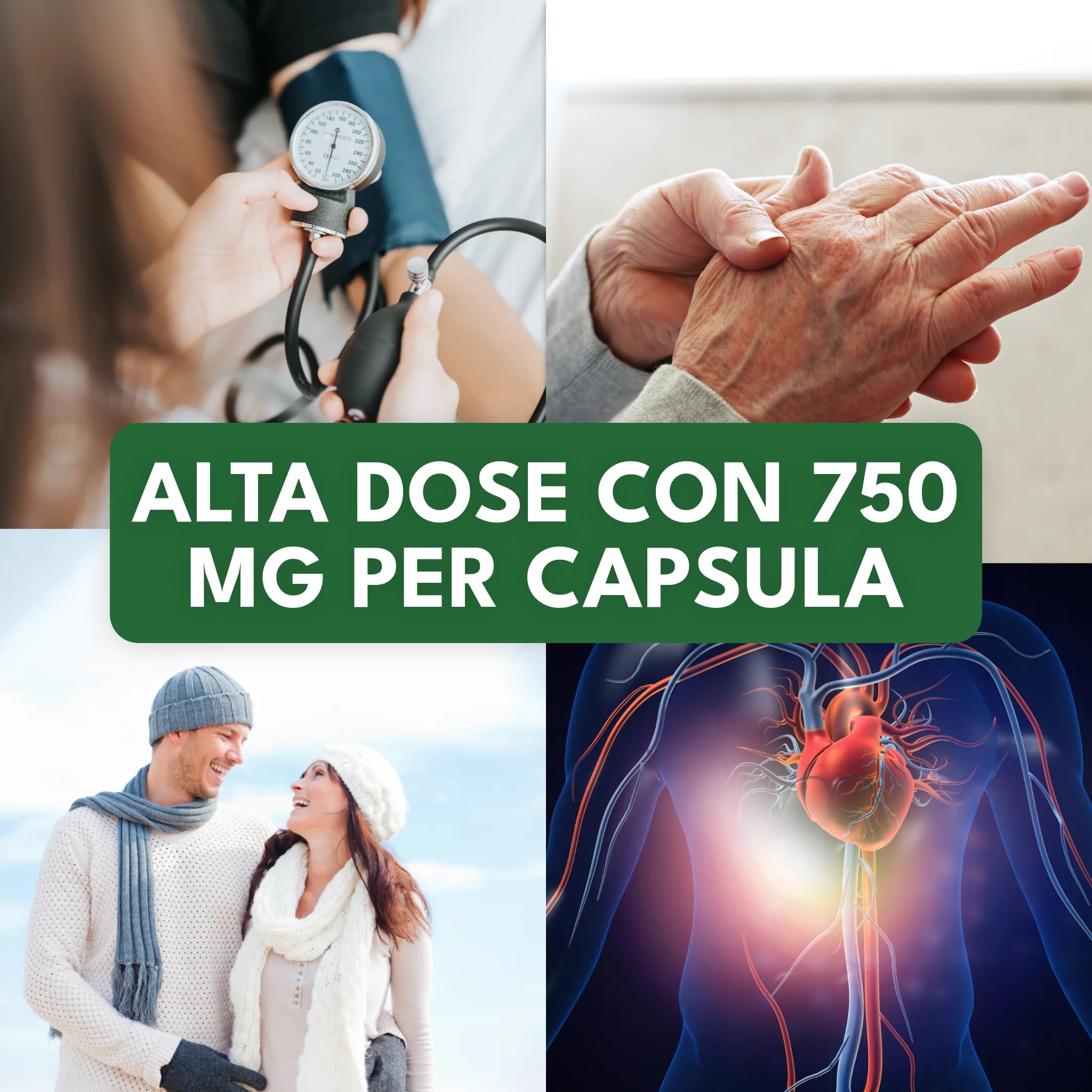 Green Naturals® Aglio Nero – Alto dosaggio 750 mg (estratto 15:1) – Equivalente a 11.250 mg per dose giornaliera – Black Garlic – 180 capsule