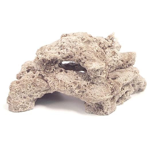 Rosewood Reef Rock Buff Decor