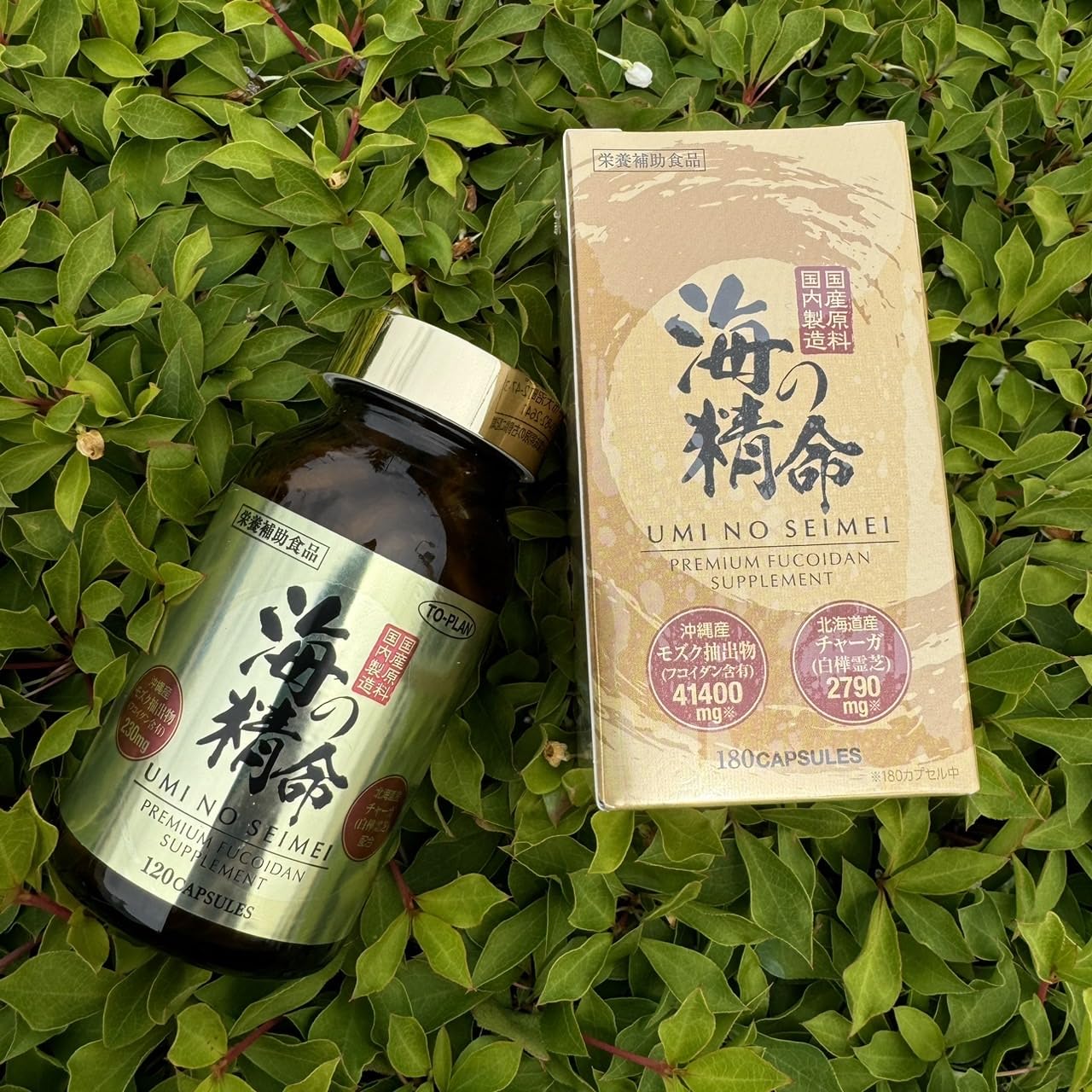 Amazon | 高濃度フコイダンサプリメント 海の精命 180粒入 Fucoidan