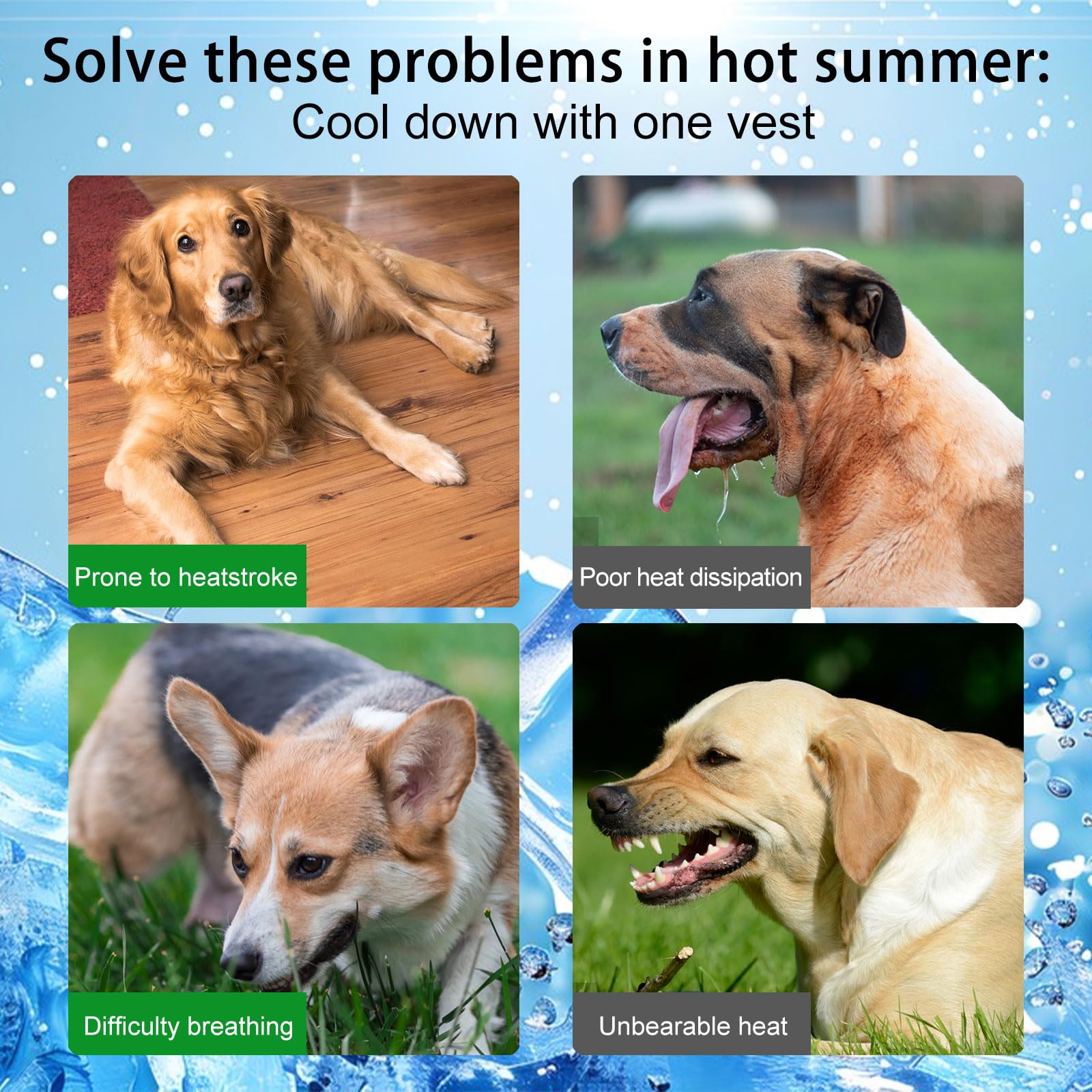Hund Kühlweste, Kühlweste für Hunde zur Abkühlung im Sommer, Atmungsaktive Hundekühlweste mit Hitzeschutz & Sonnenschutz, Outdoor Cooling Vest Dog,Elastisches Hunde Tshirt (Blau,XL)