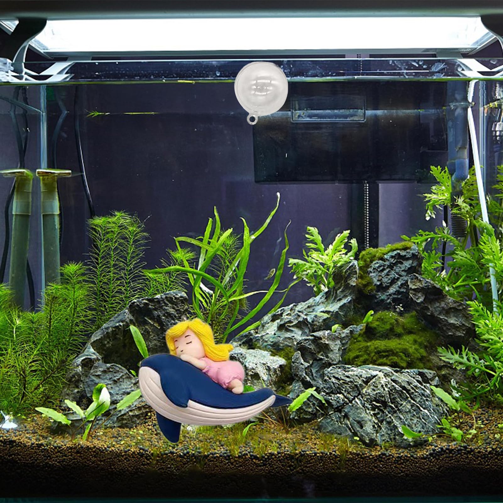 水槽のクジラ CD６枚セット 水槽のクジラ CD6枚セット 水槽のクジラ CD6枚セット