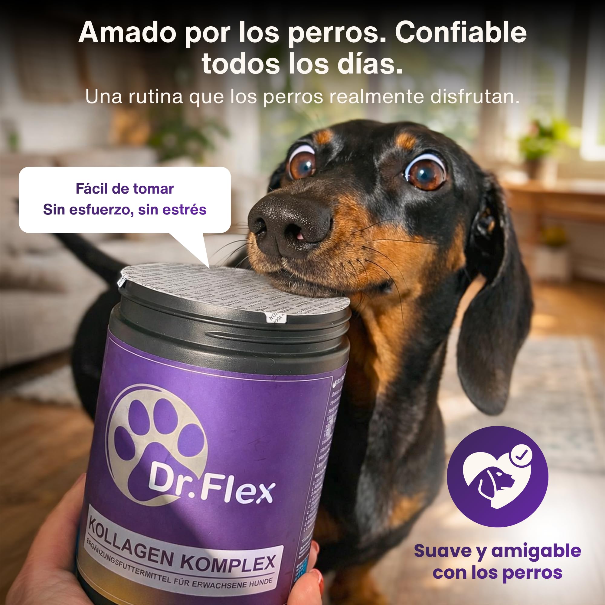 Dr. Flex colágeno para Perros 300 g - colágeno hidrolizado Tipo I II III bovino y Marino en Polvo para articulaciones Perro y Movilidad Complejo vitaminas Grupo B Perros Apoyo digestión Perro