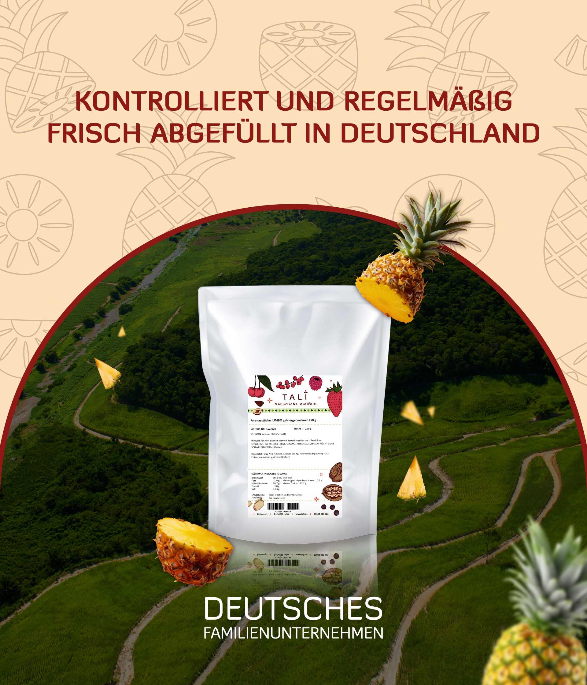 TALI Ananasstücke JUMBO gefriergetrocknet 1000 g | Größe: 1/16 Schnitt