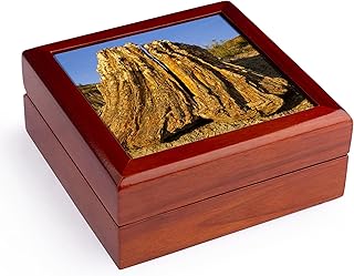 3dRose Tree, Petrified Forest Wilderness, North Dakota - US35 CHA0195 - Chuck Haney, Jewelry Box jb-93308-1