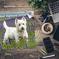 Vista 4 de Razas de Perros 2017