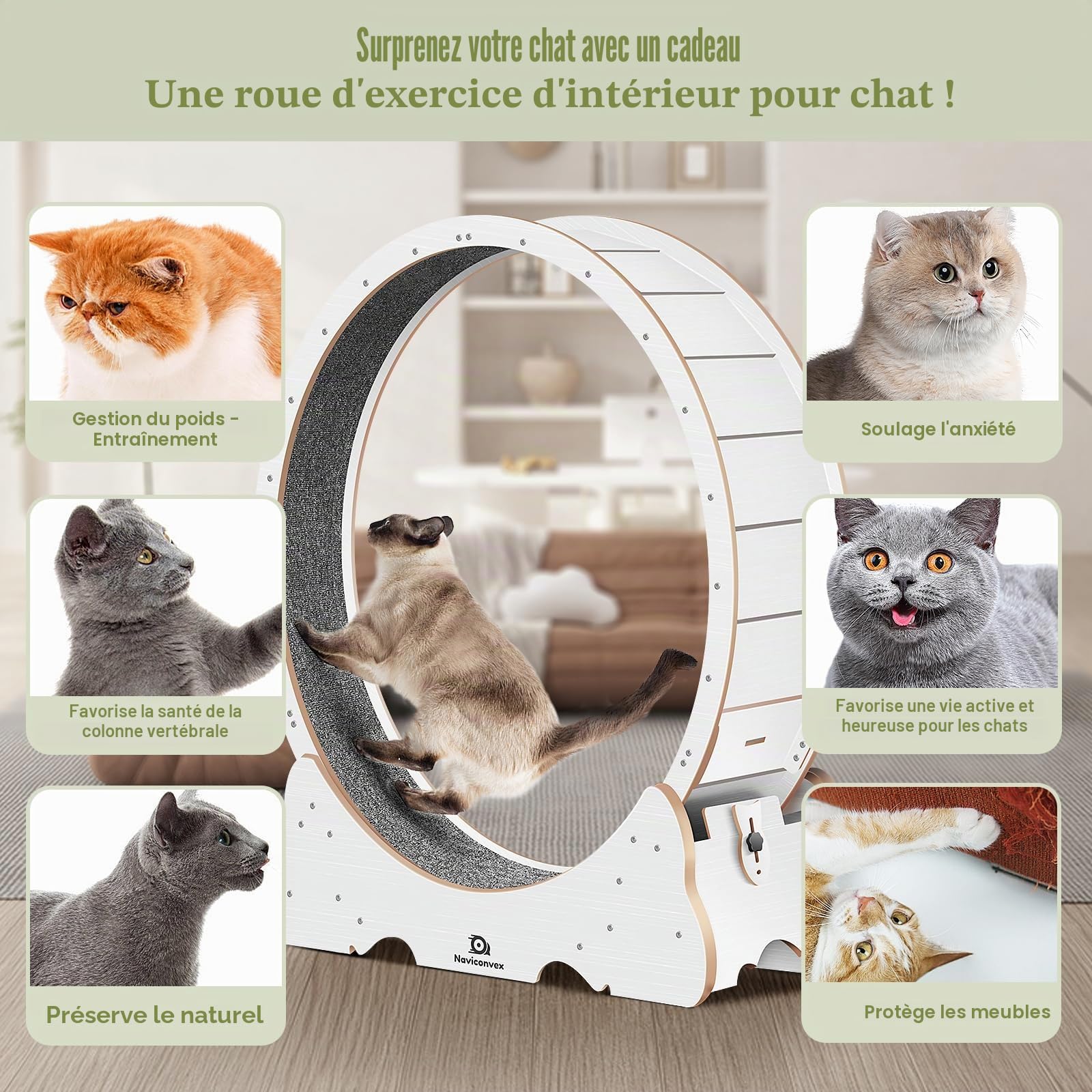 Roue pour Chat XL Noire 113 cm Silencieuse Solide Exercice Divertissement Intérieur Grands Chats Actifs