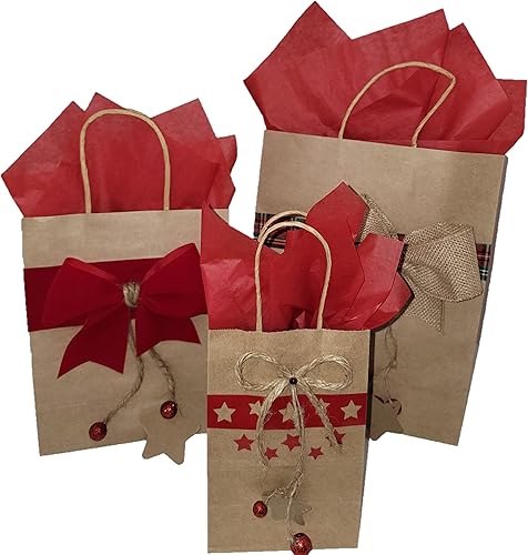 Bolsa de regalo de papel kraft, bolsa de papel, decoradas a mano, paquete de 3 bolsas, 12x9.5, 9.5x7.5, 7.6x5.4 pulgadas