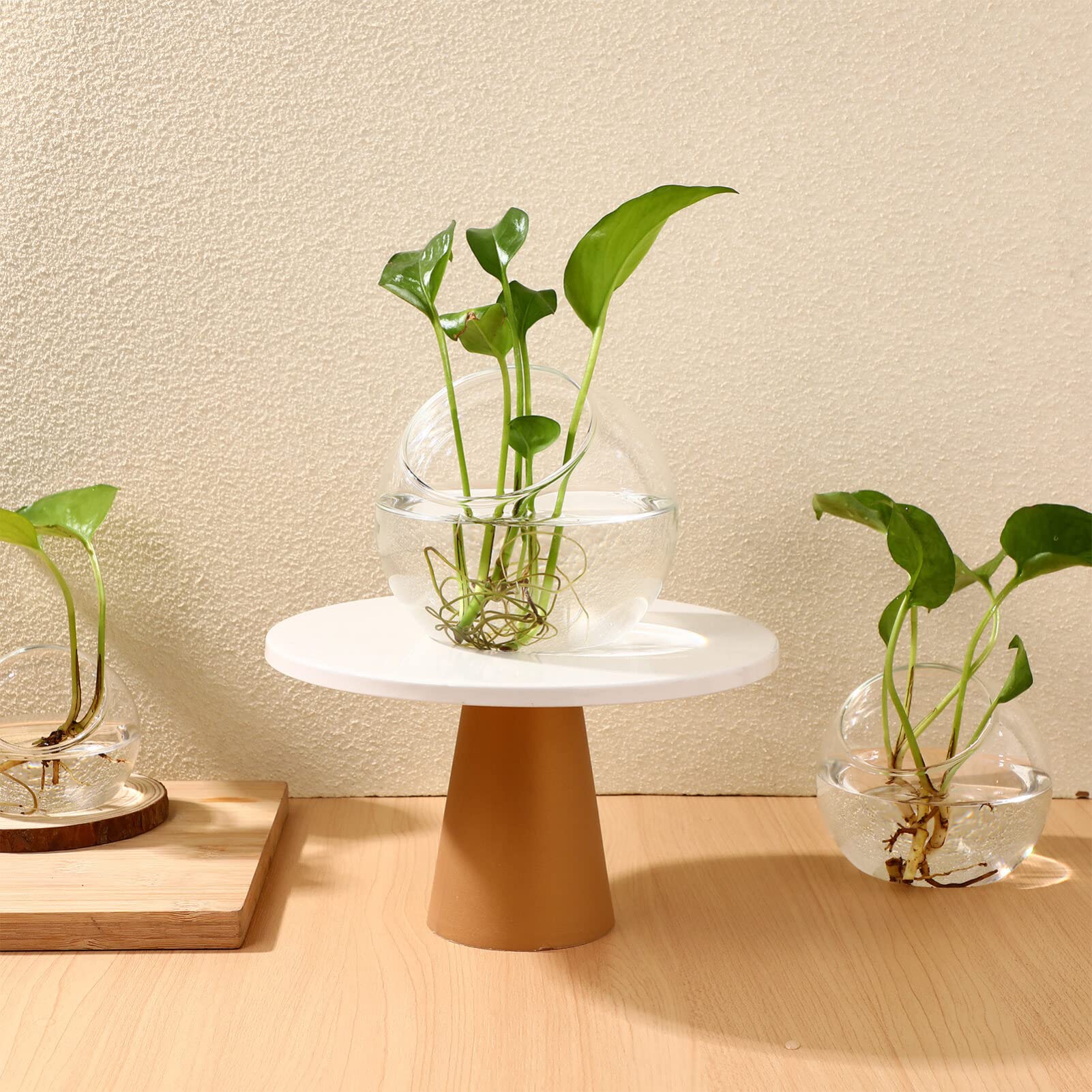 Toddmomy 3 Pcs Verre Clair Air Plante Terrarium Succulent Cactus Plante Vases Terrarium Pot Pot De Bonbons Récipient Floral Bol Incliné pour Fête De Mariage Événement Décor De Bureau À