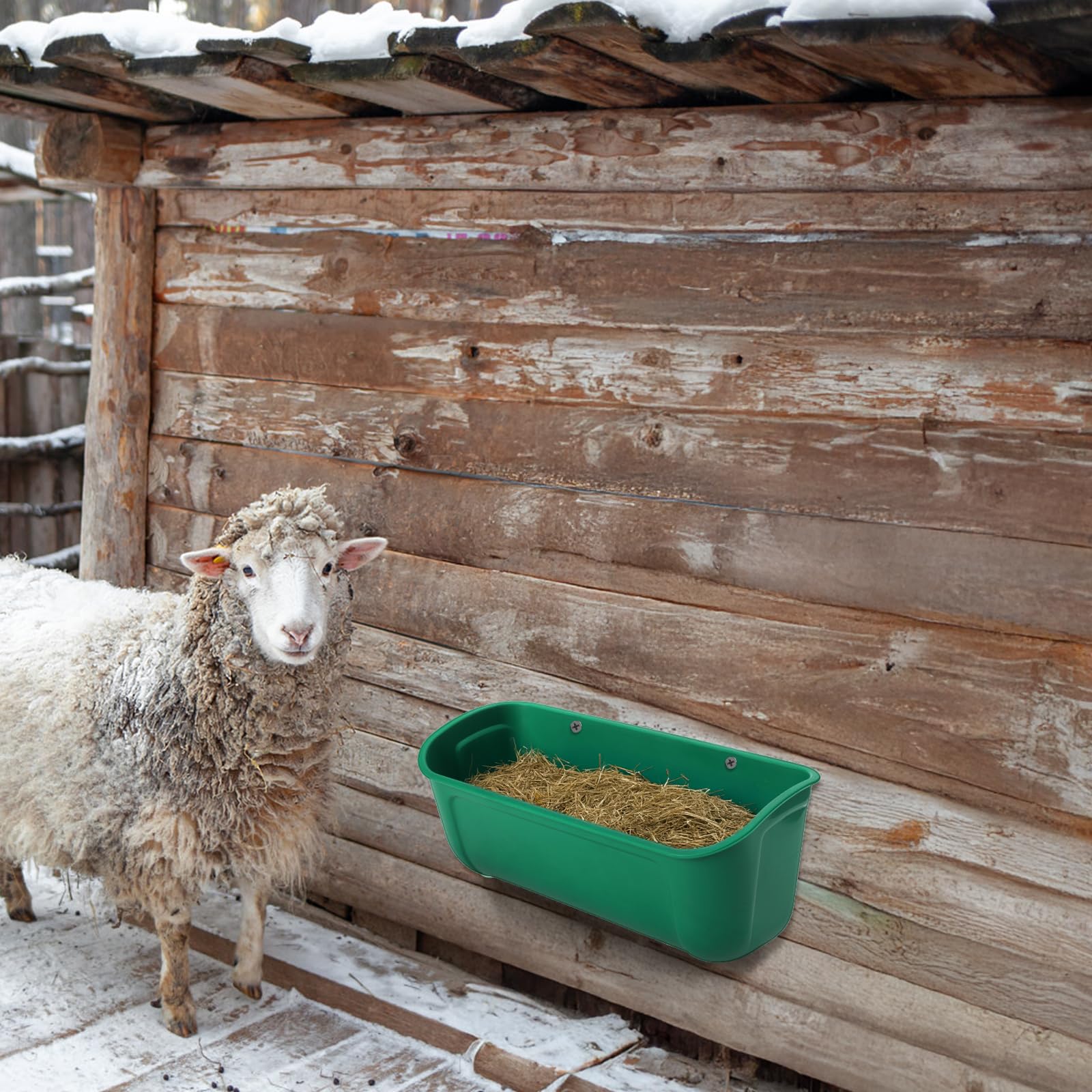 Cedilis Paquete de 4 comederos colgantes para patos, comedero de valla de pollo con clips, contenedor de alimentación de agua para aves de corral, ganso, conejos, ovejas, cada alimentador de 2.5