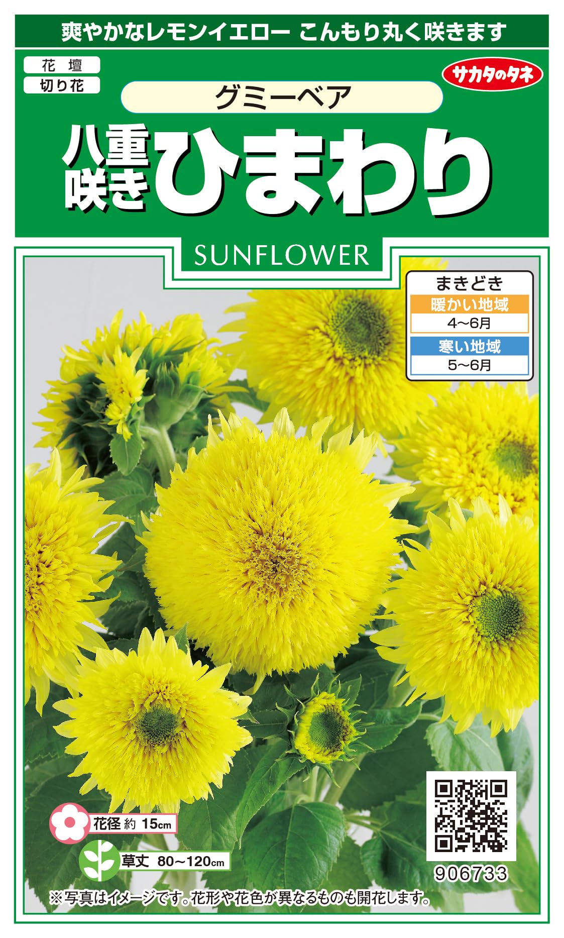 Amazon | サカタのタネ 実咲花 八重咲きひまわり グミーベア | 花