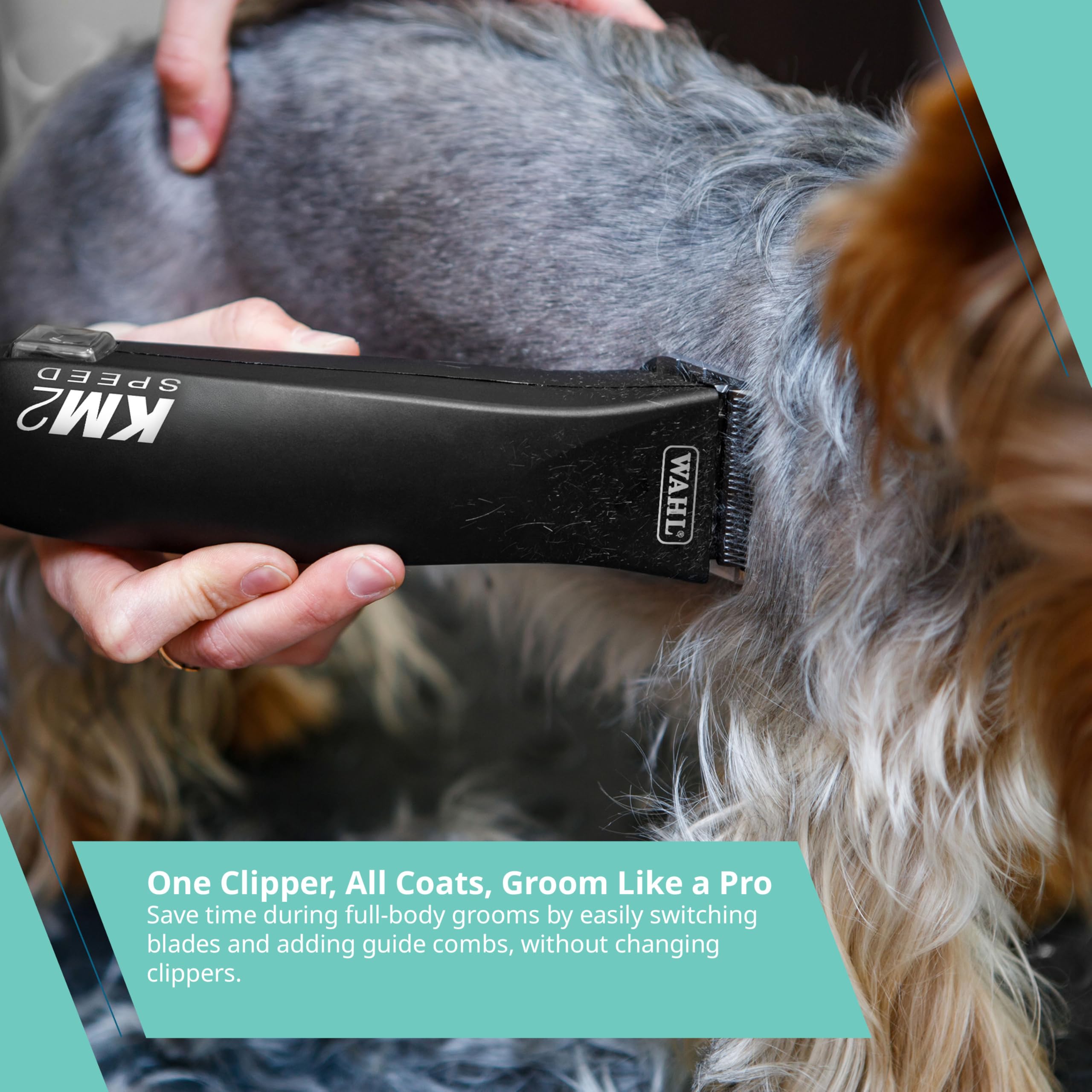 Wahl 59104 KM2 Clipper, Black : Amazon.ca: Pet Supplies