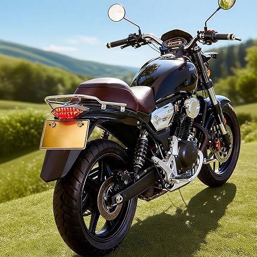 Miniatura 3 de Anki HappiGo ANKIA 12V 16 LED Universal Motocicleta Integrada Freno Trasero Luz de Correr Signla Lámpara de matrícula (cubierta transparente)