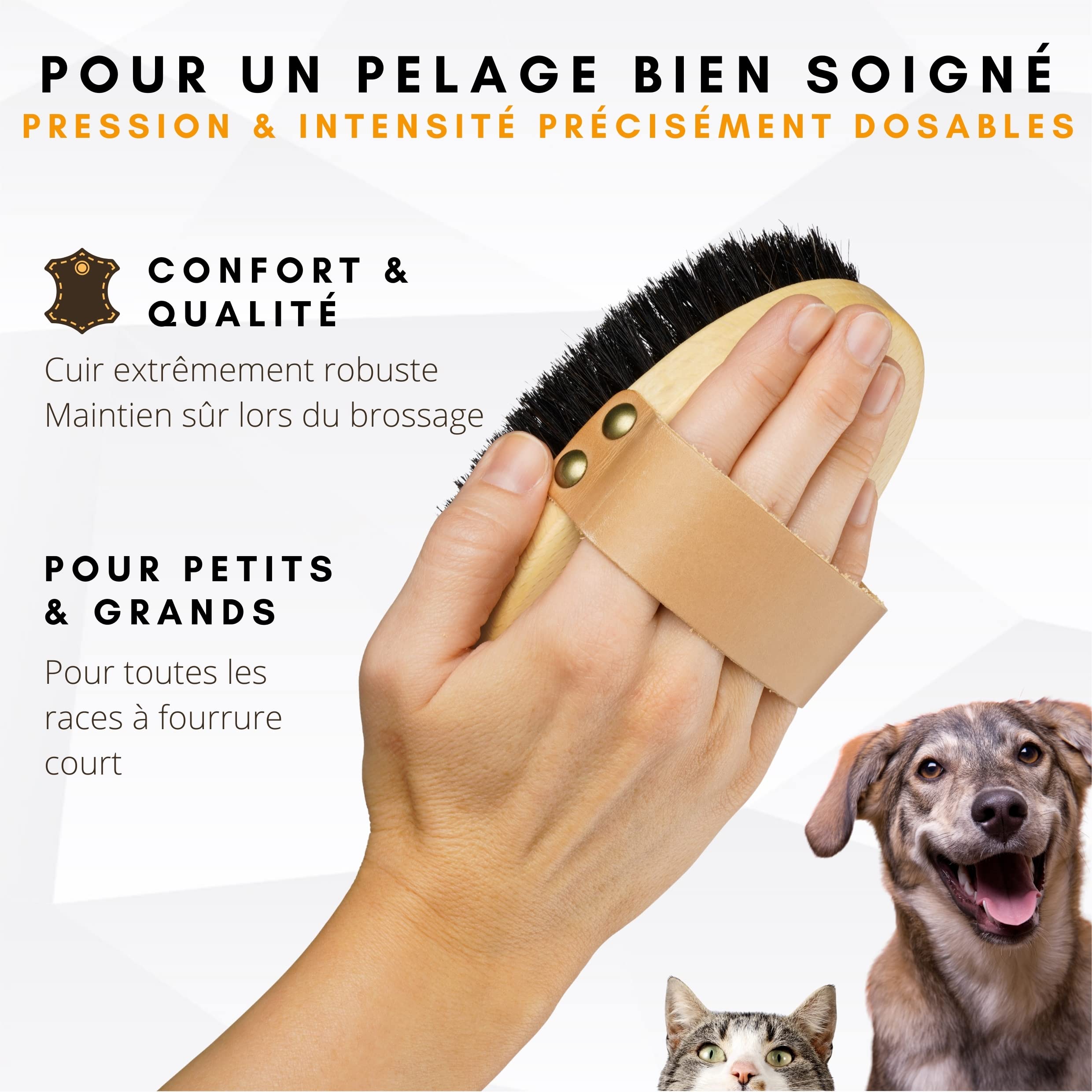 BUDDY BRUNO® brosse pour chien et chat á poil court, 100% naturel, énergétique pour le soin quotidien du pelage, brosse étrille avec boucle en cuir, fabriqué à la main en Forêt-Noire