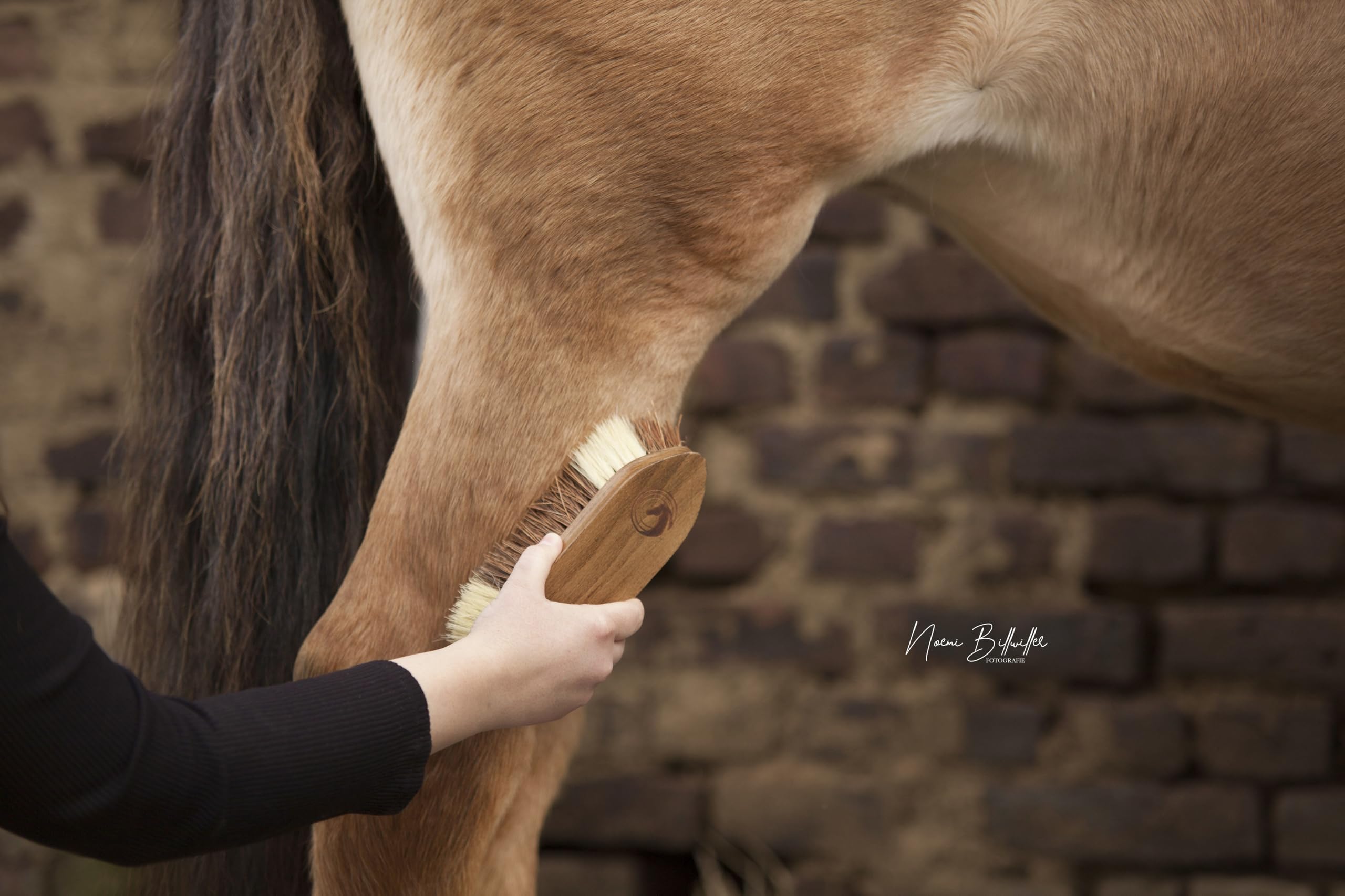 Cepillo duro para caballos – de madera con cerdas de coco y sisal | Limpieza profunda y natural del pelaje | Cepillo robusto para el cuidado diario y la rutina de grooming