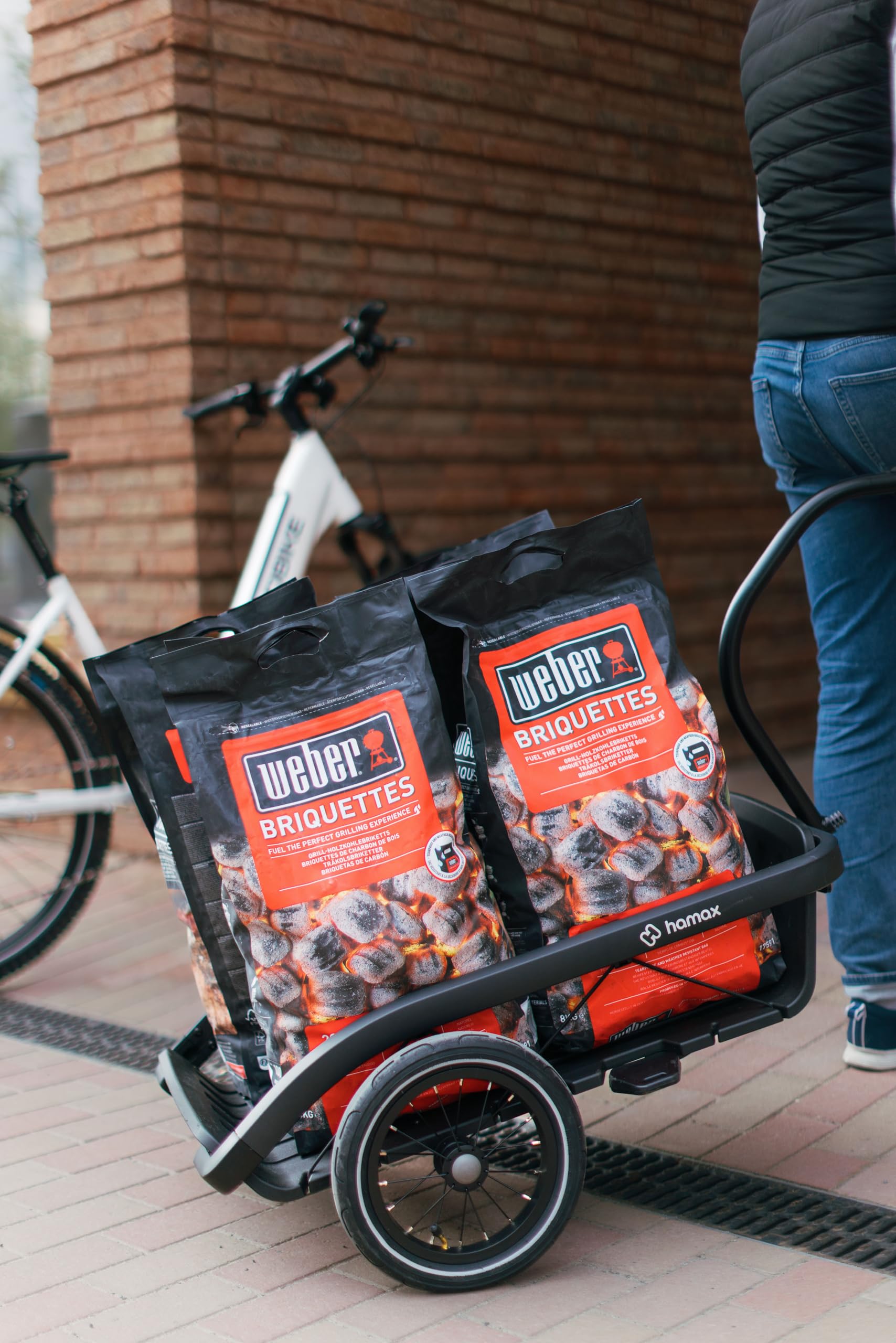 Hamax - Venture Cargo-Anhänger – max. Belastung 60 kg – Zubehör: Haken, Sandow, Bezug – kompaktes Design – ideal für Radfahrer und Wanderer