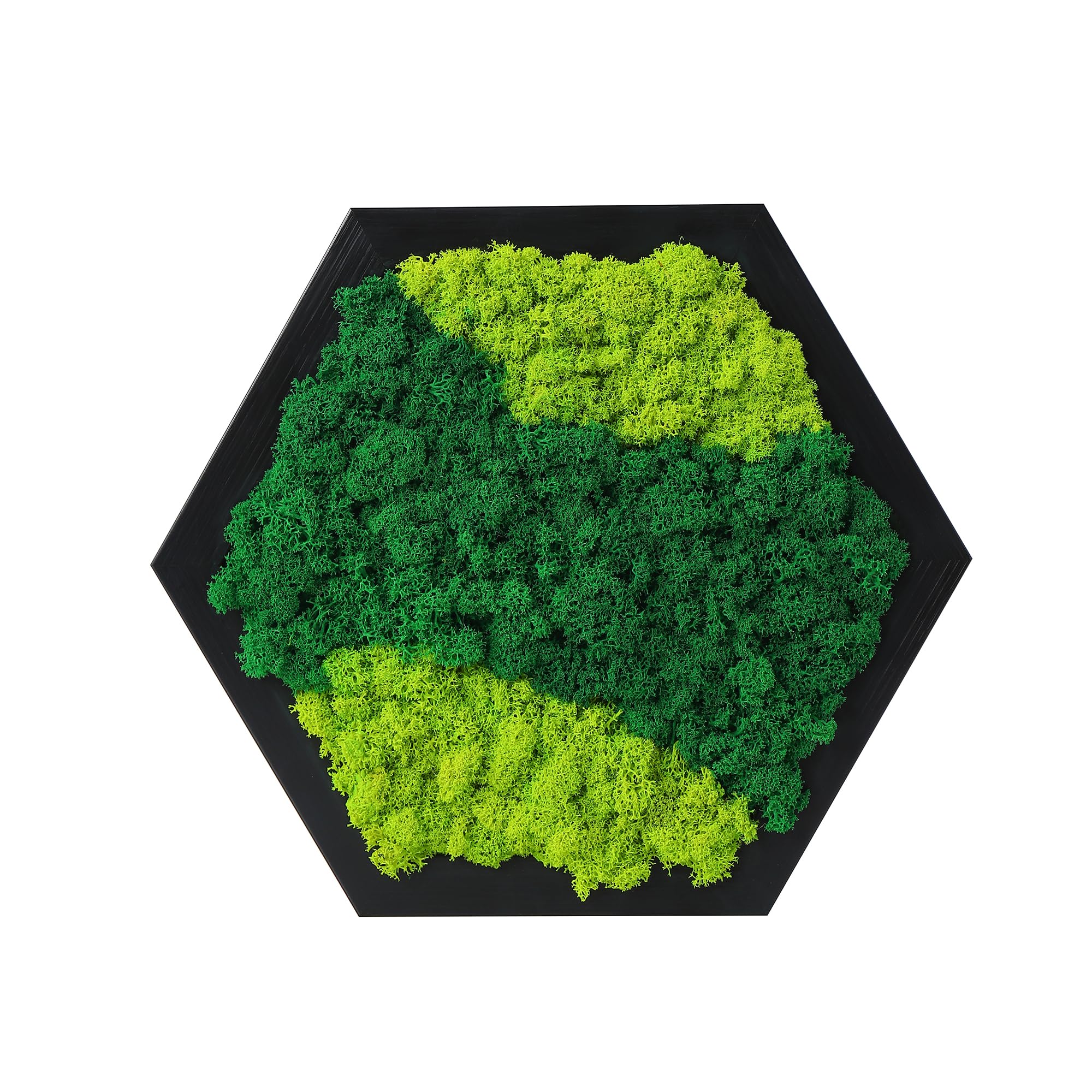 LVZHIHUANMoss Wall Art Preserved Moss Honeycomb Hexagon 8" Home Office Decor Living Wall Hanging Decor