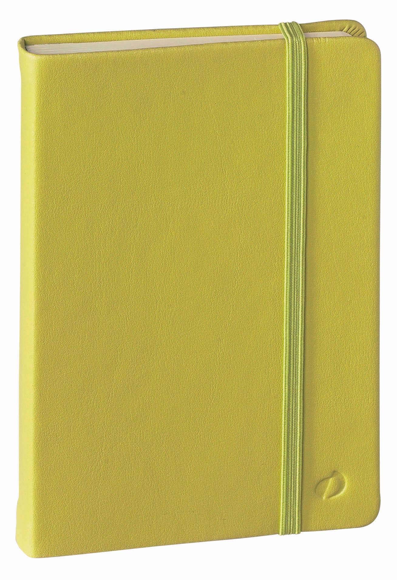 Quo Vadis 23725101NQ Notebook, 10 x 15, Lime Green