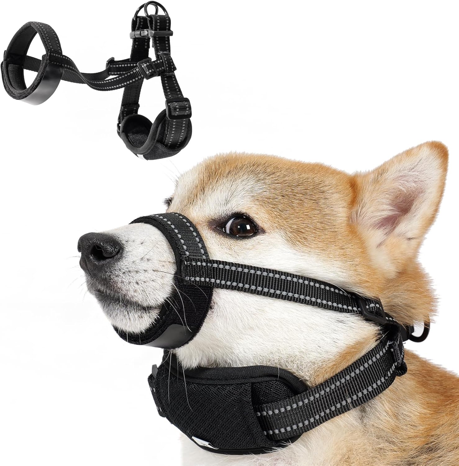 https://m.media-amazon.com/images/I/81xOkQk8XuL._AC_SL1500_.jpg